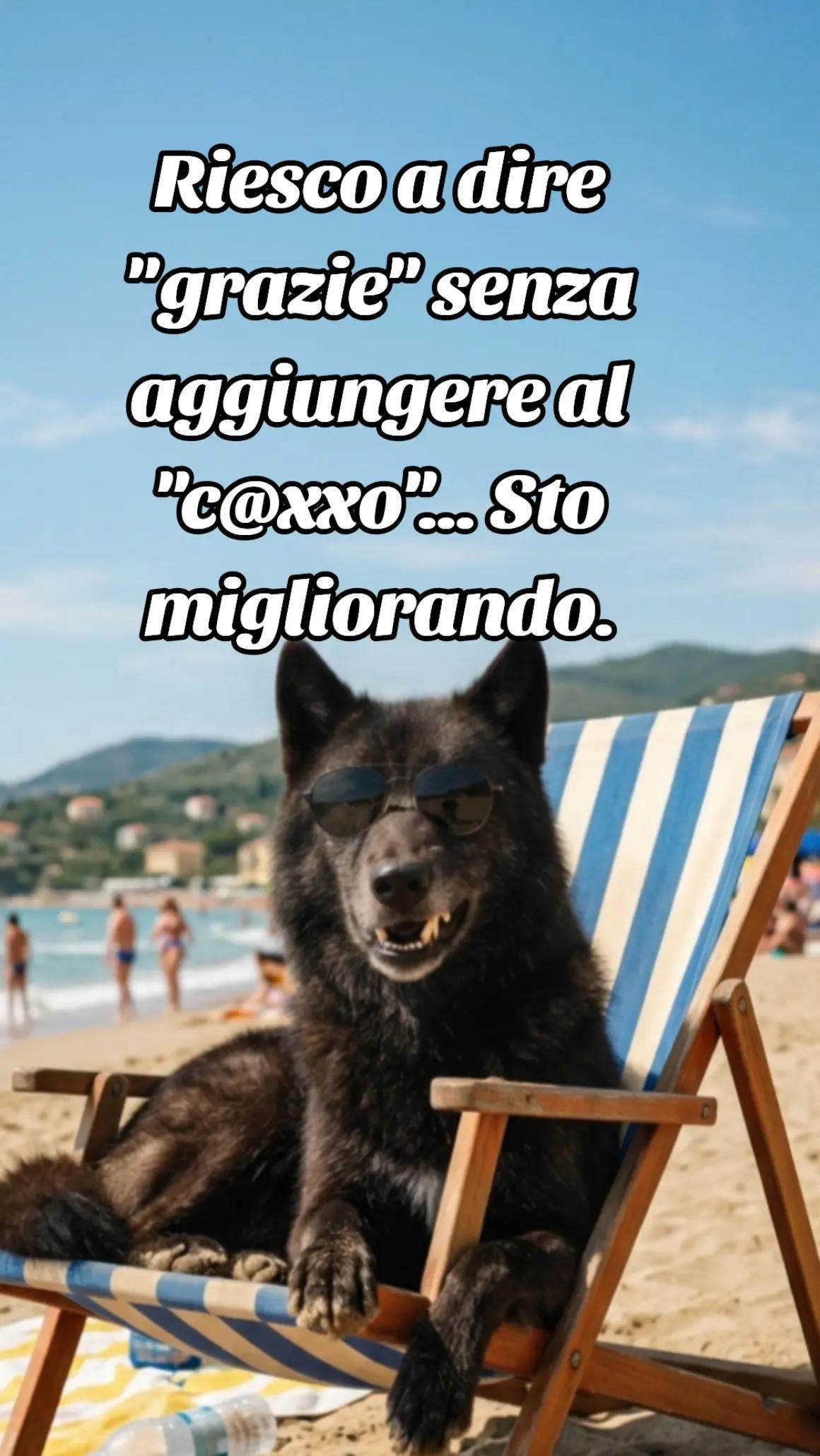 @🐺🗽Crazy Wolf.