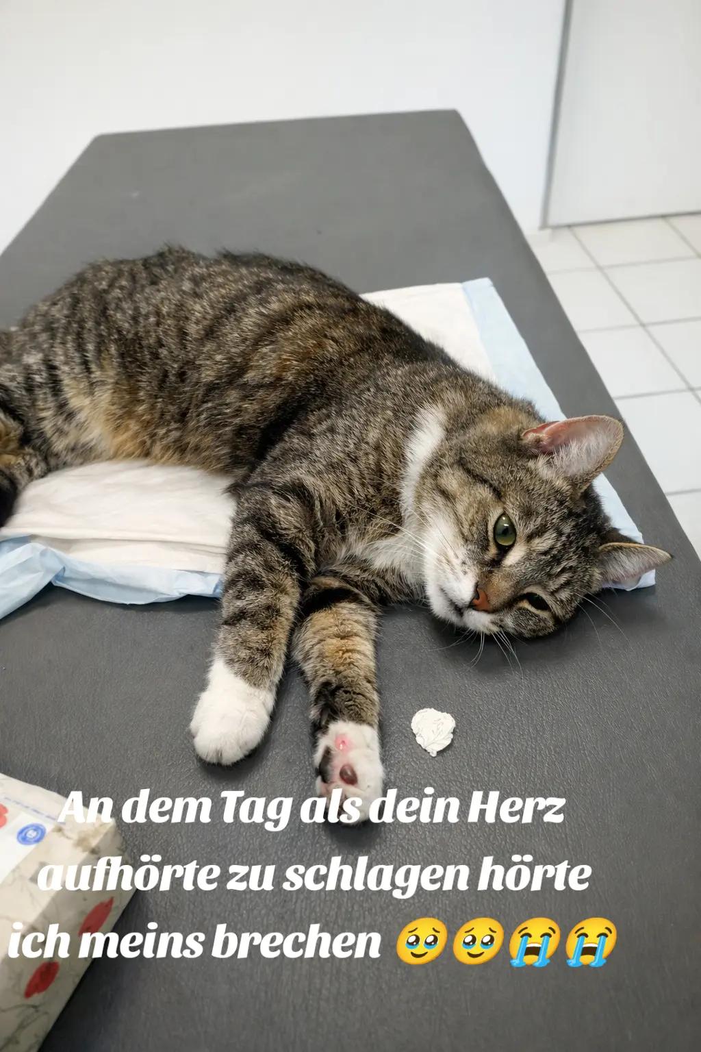 @KaR!zMa❤️🫶❤️🤭