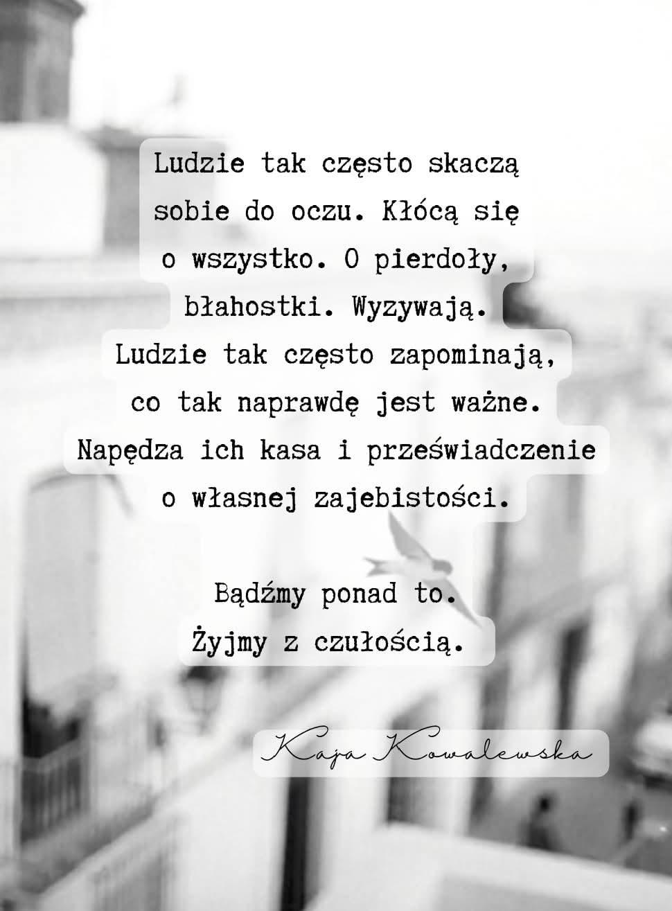 @CZARNULKA