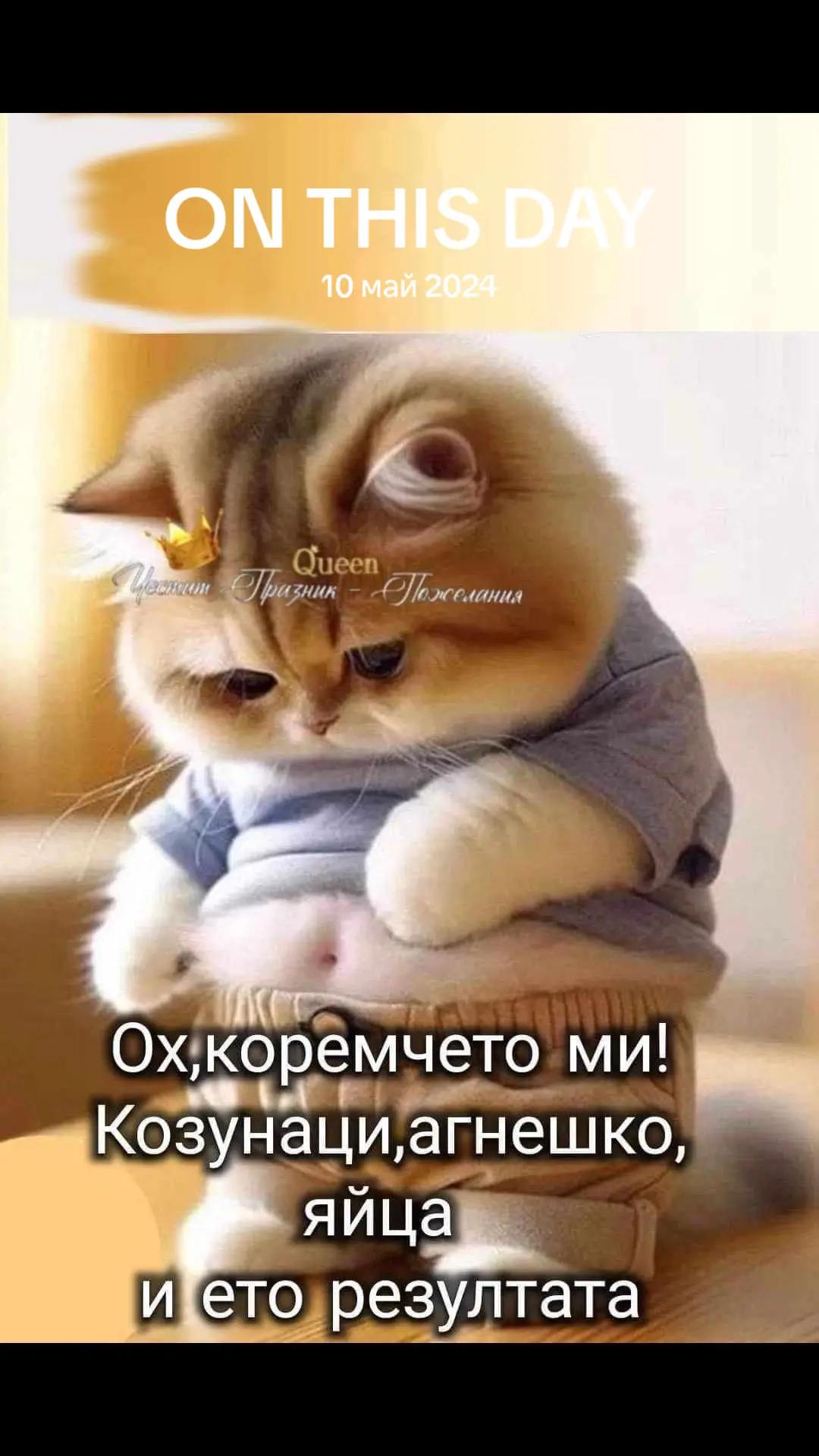 @Iliyana Nikolova