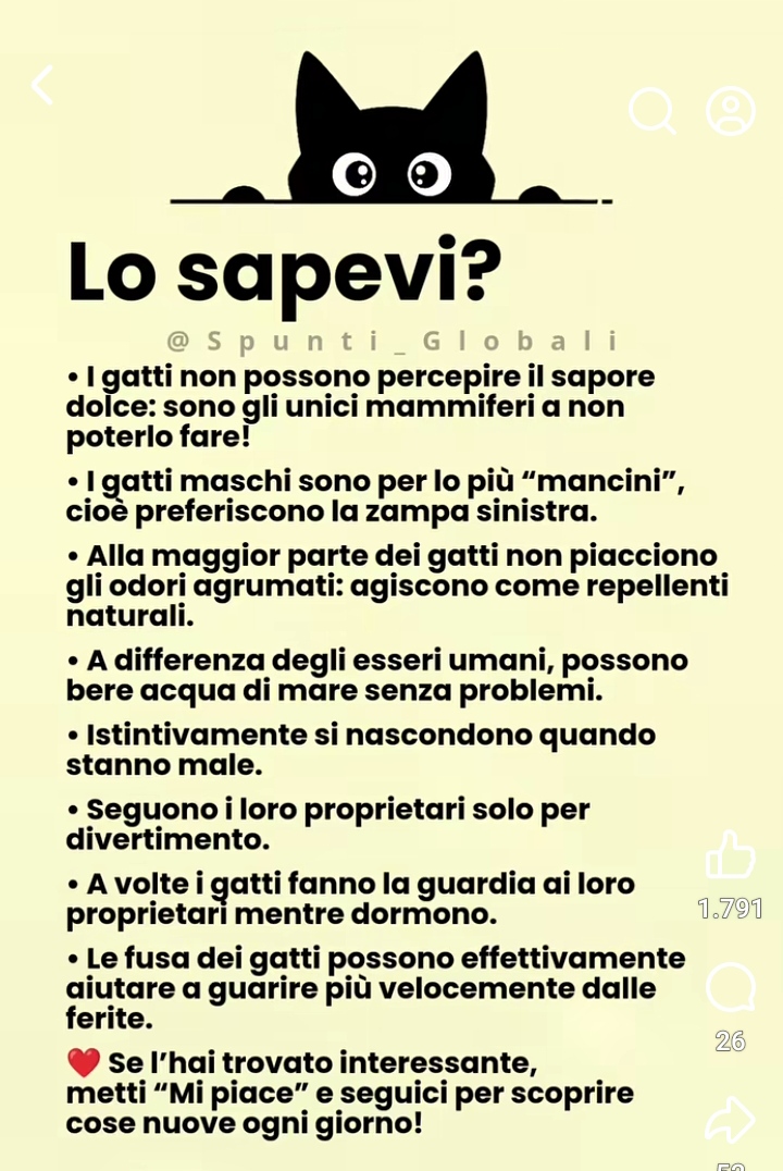 @GAETANO (Single)