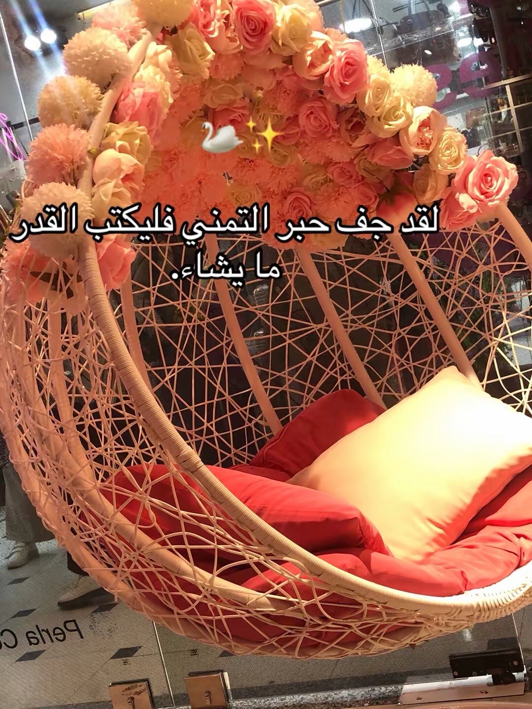 @🦢🌸