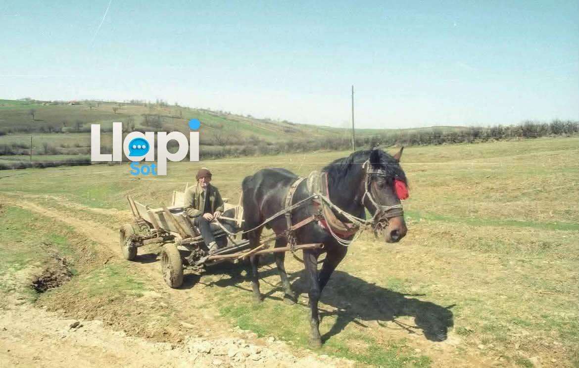 @Llapi Sot