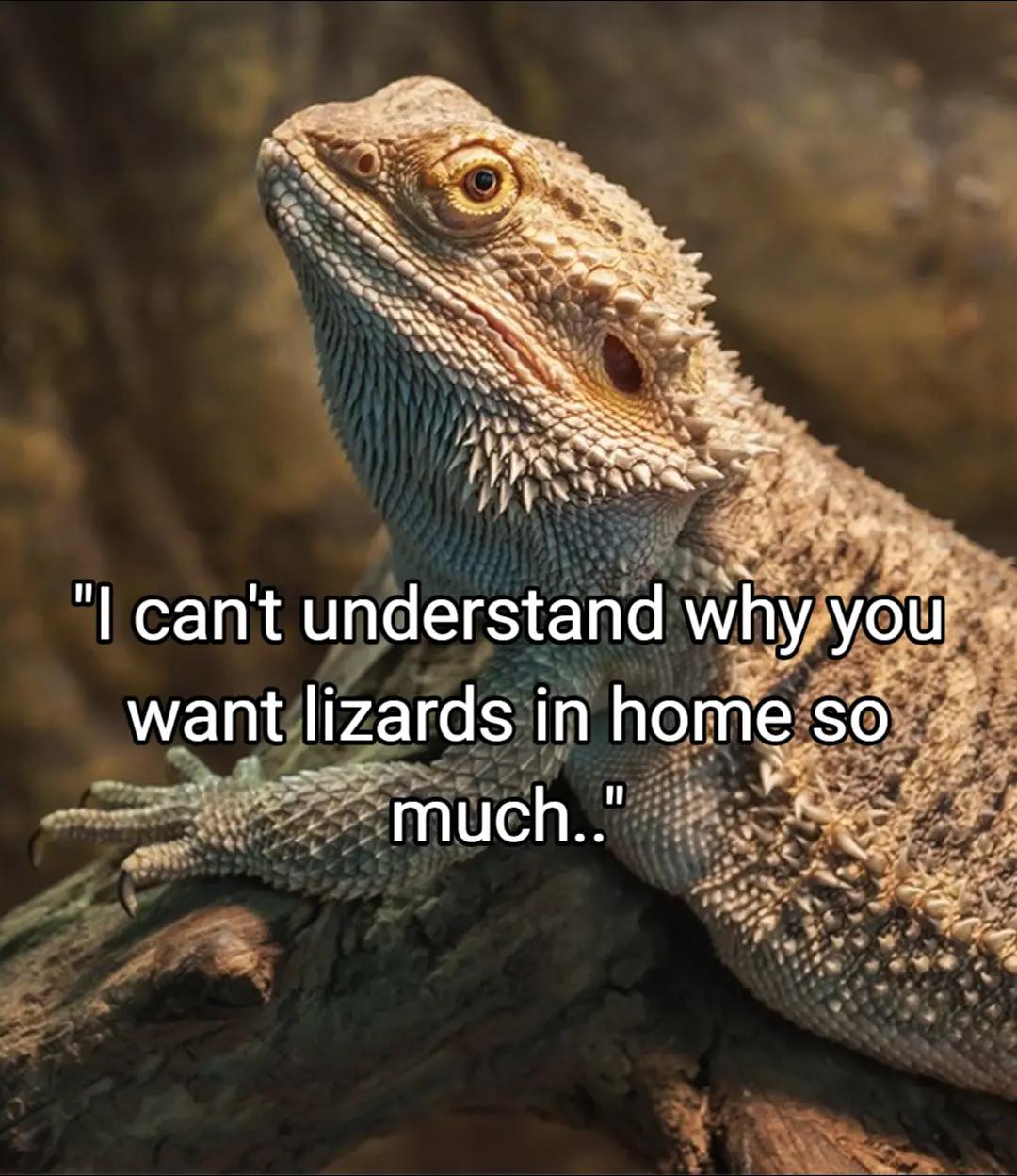@Kageyami