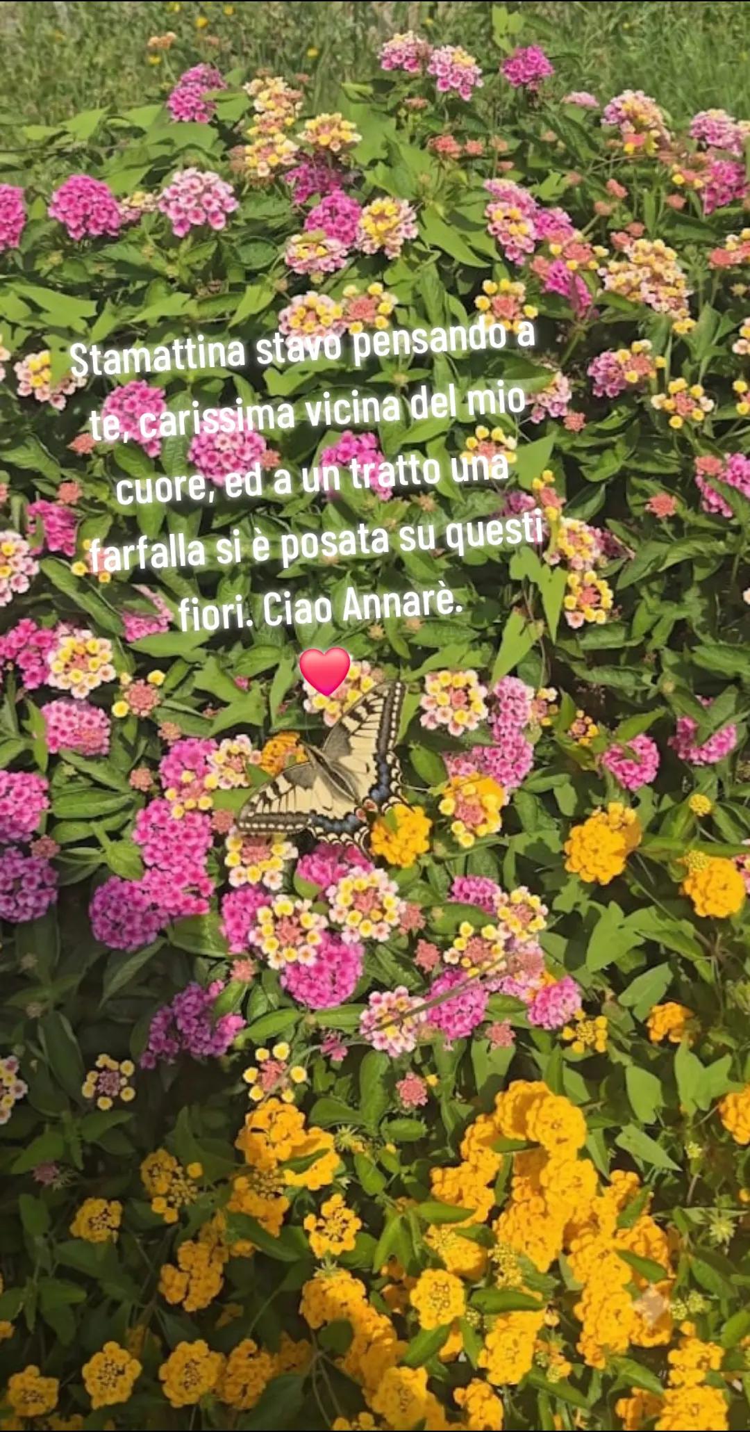 @Anna De Luca