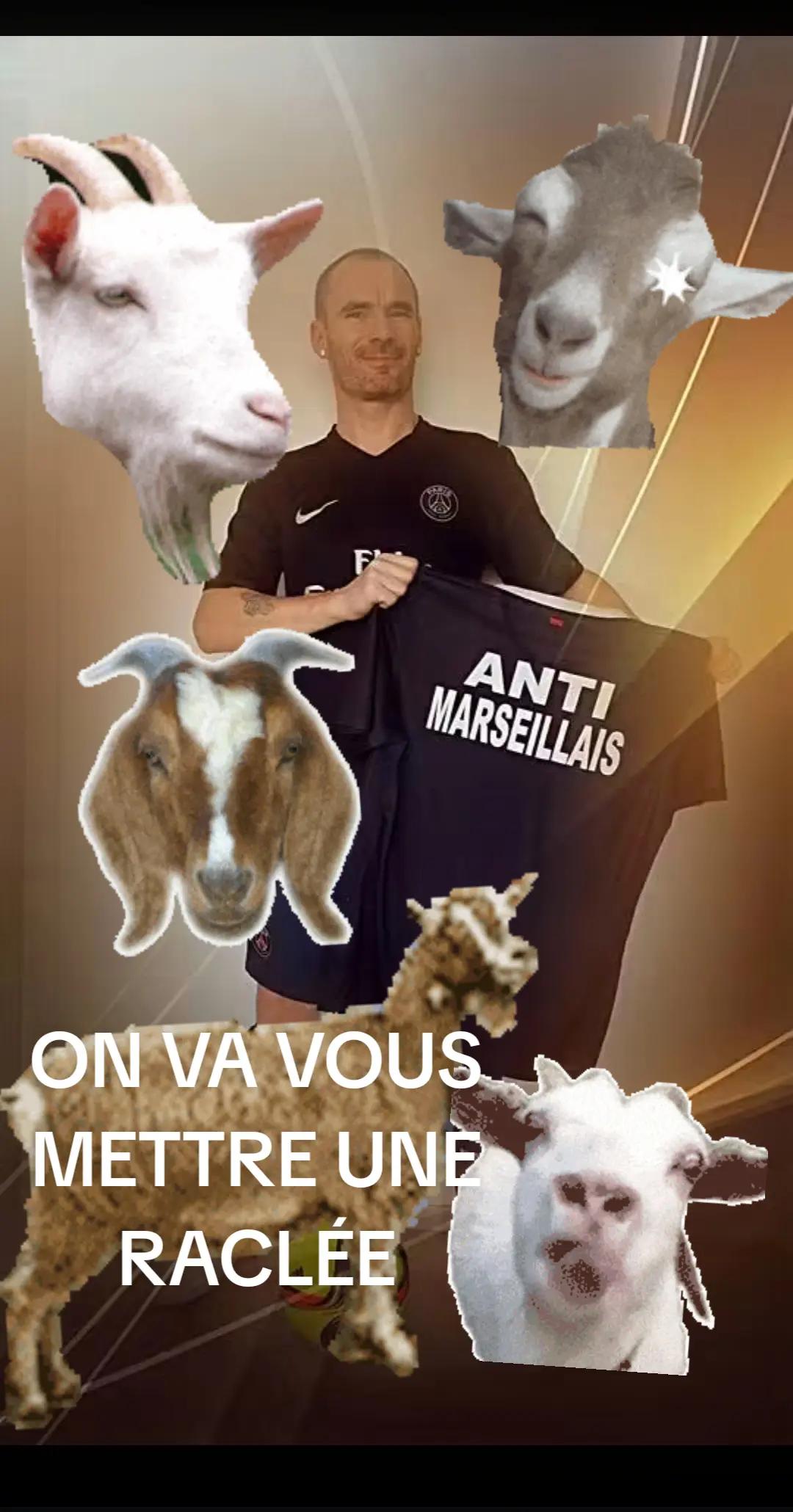 @le français 🇨🇵