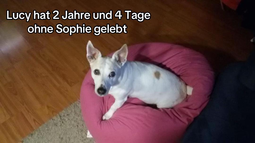@sophie ⚢