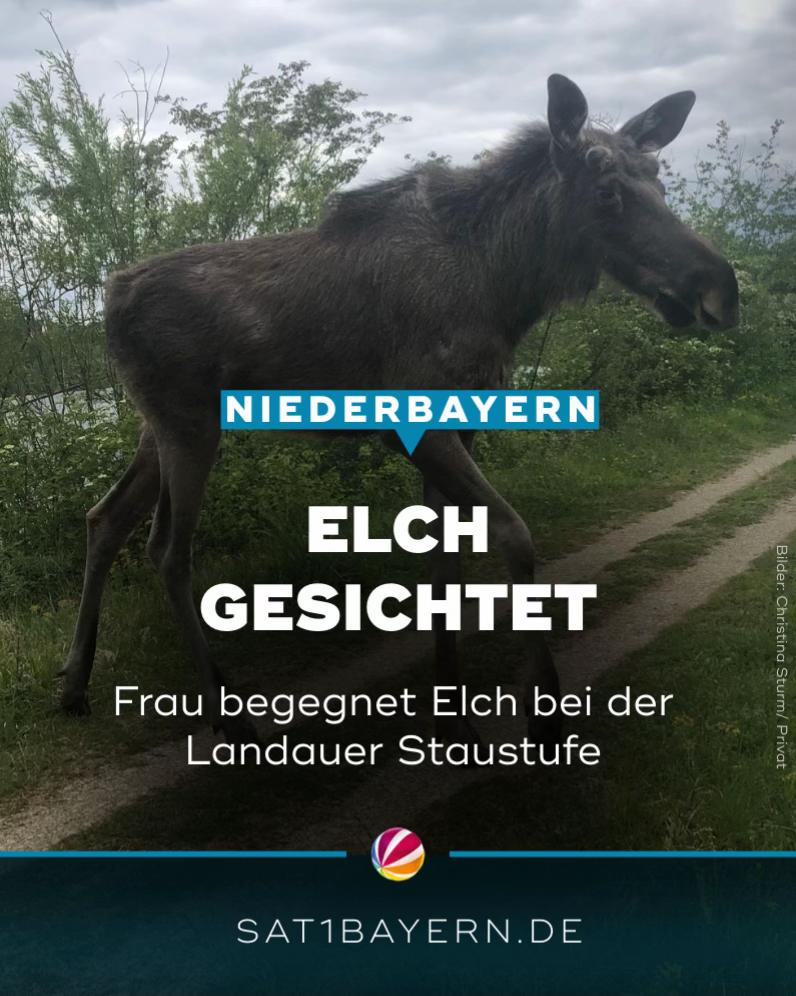 @17:30 SAT.1 Bayern