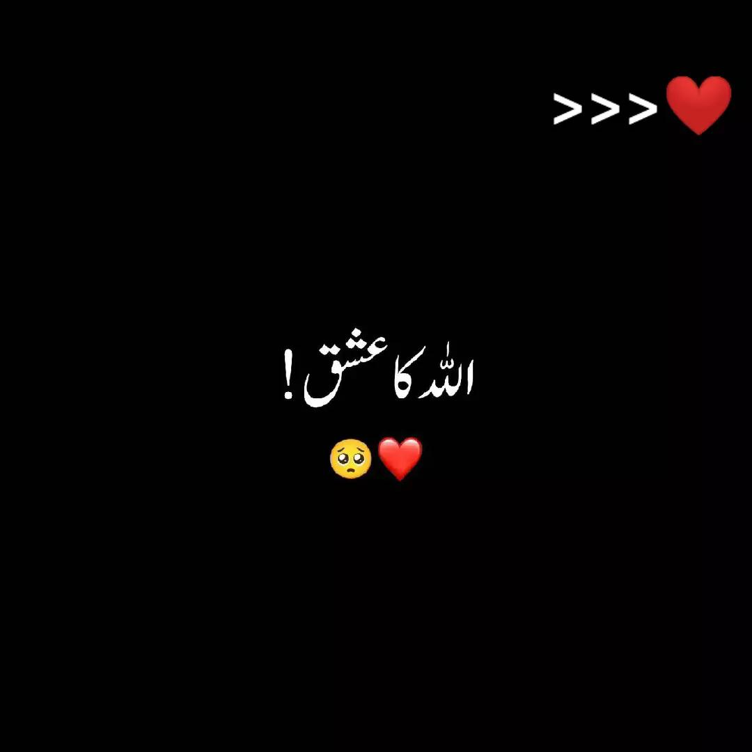 @SHEحROZ❤️🔥