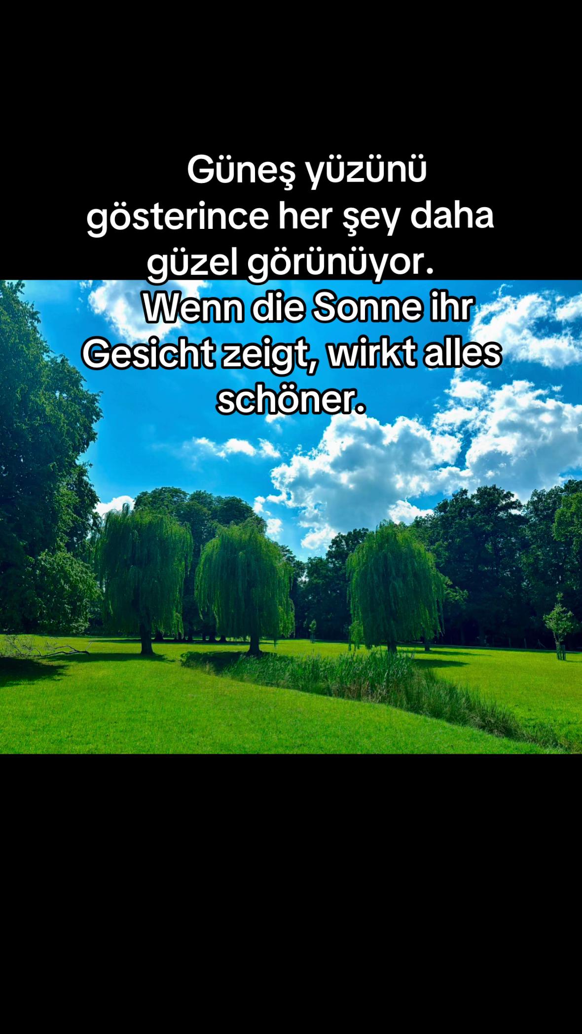 @Anonym