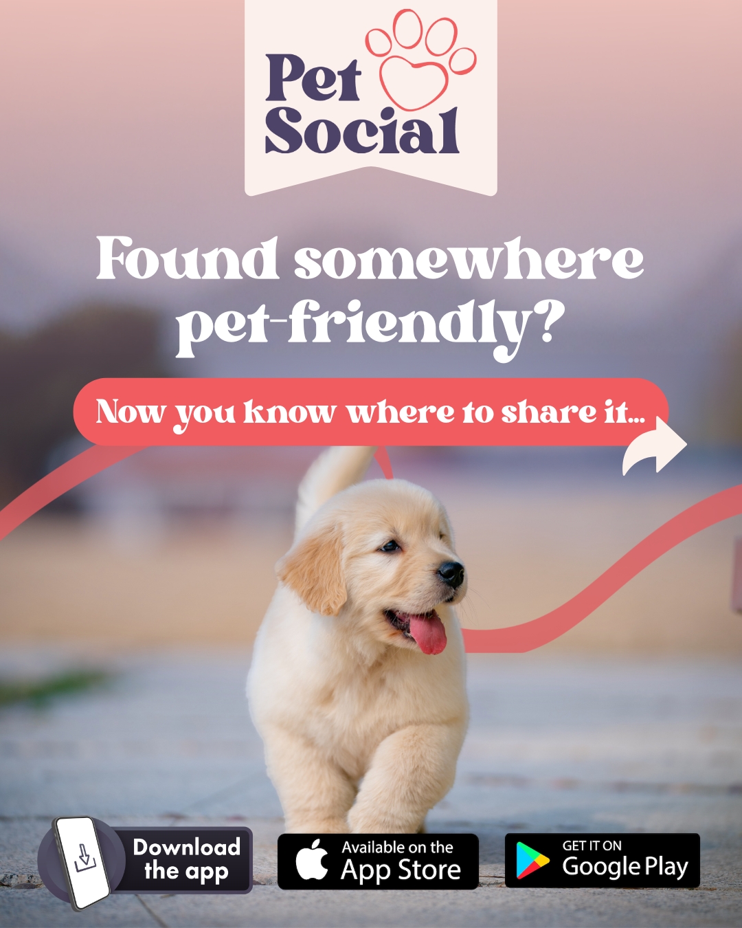 @Pet Social UK