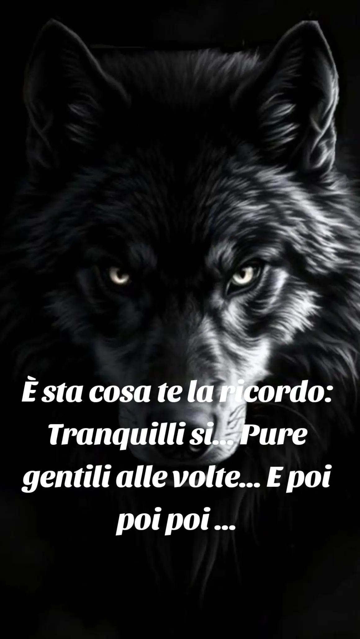 @🐺🗽Crazy Wolf.