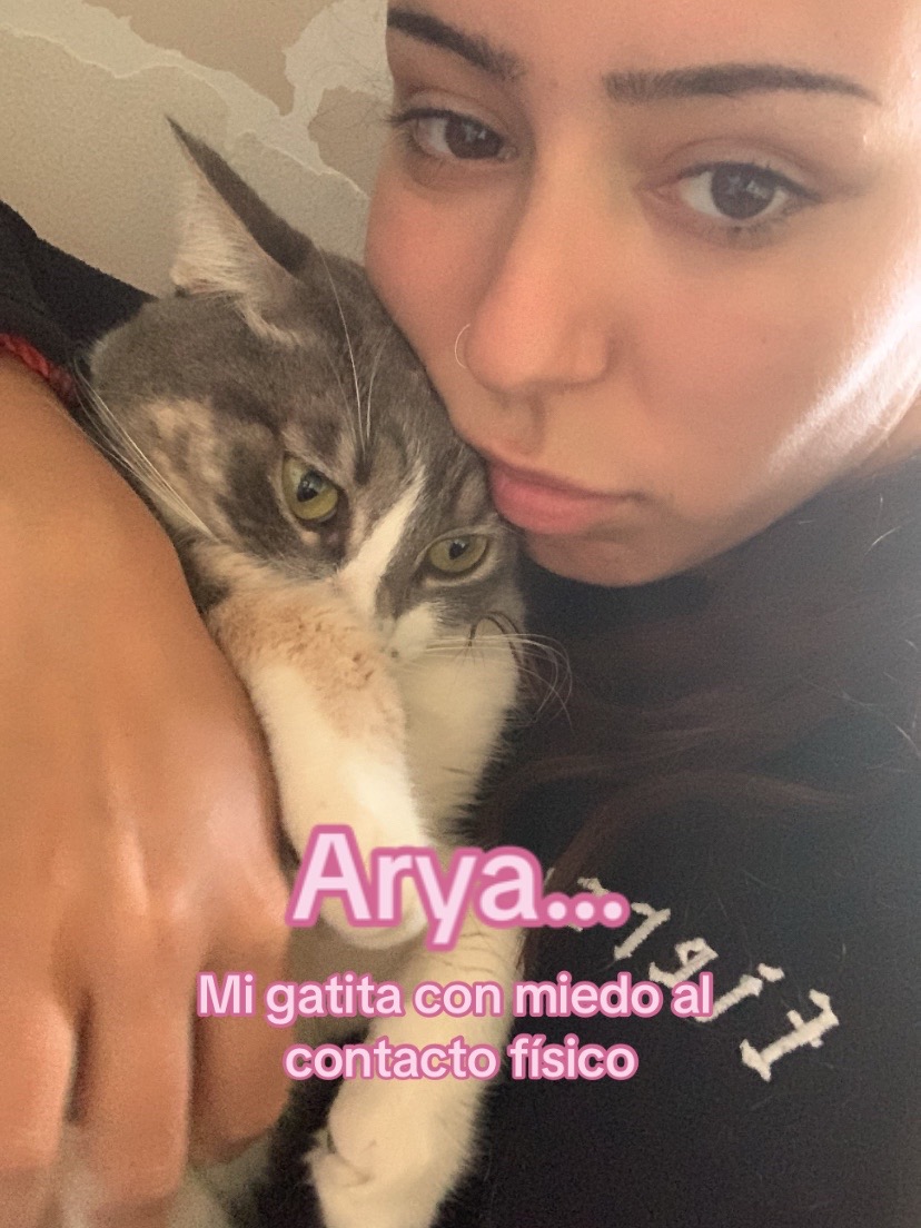 @Peluchito bb