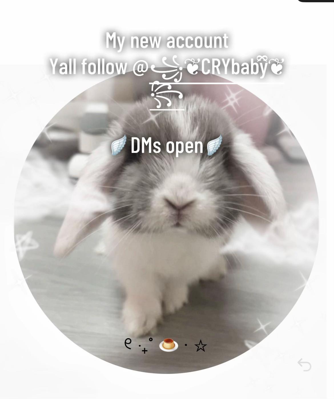@°𓊆ྀི❤︎CRYbaby⋆°🦢.⋆ᥫ᭡