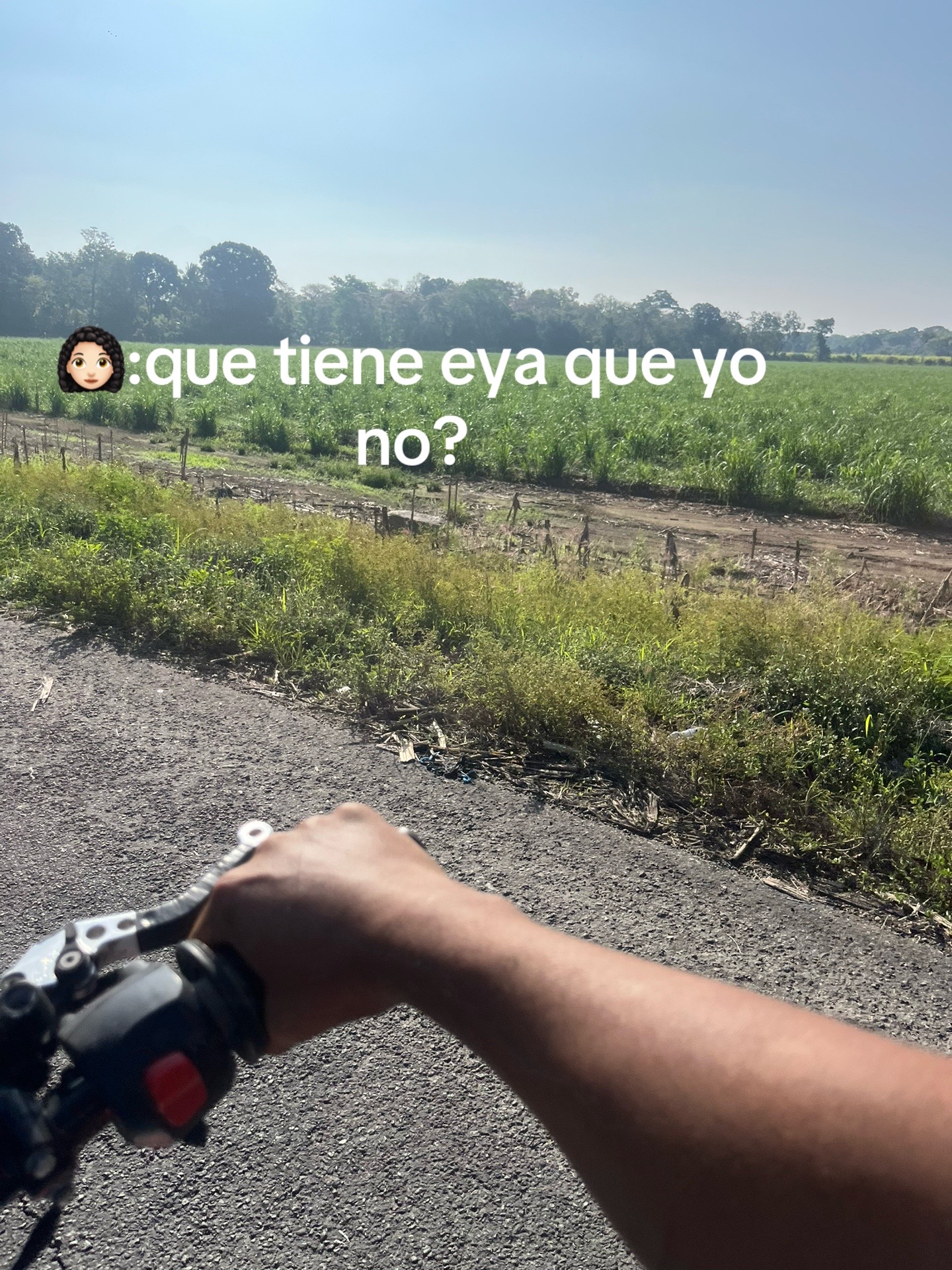 @pedro