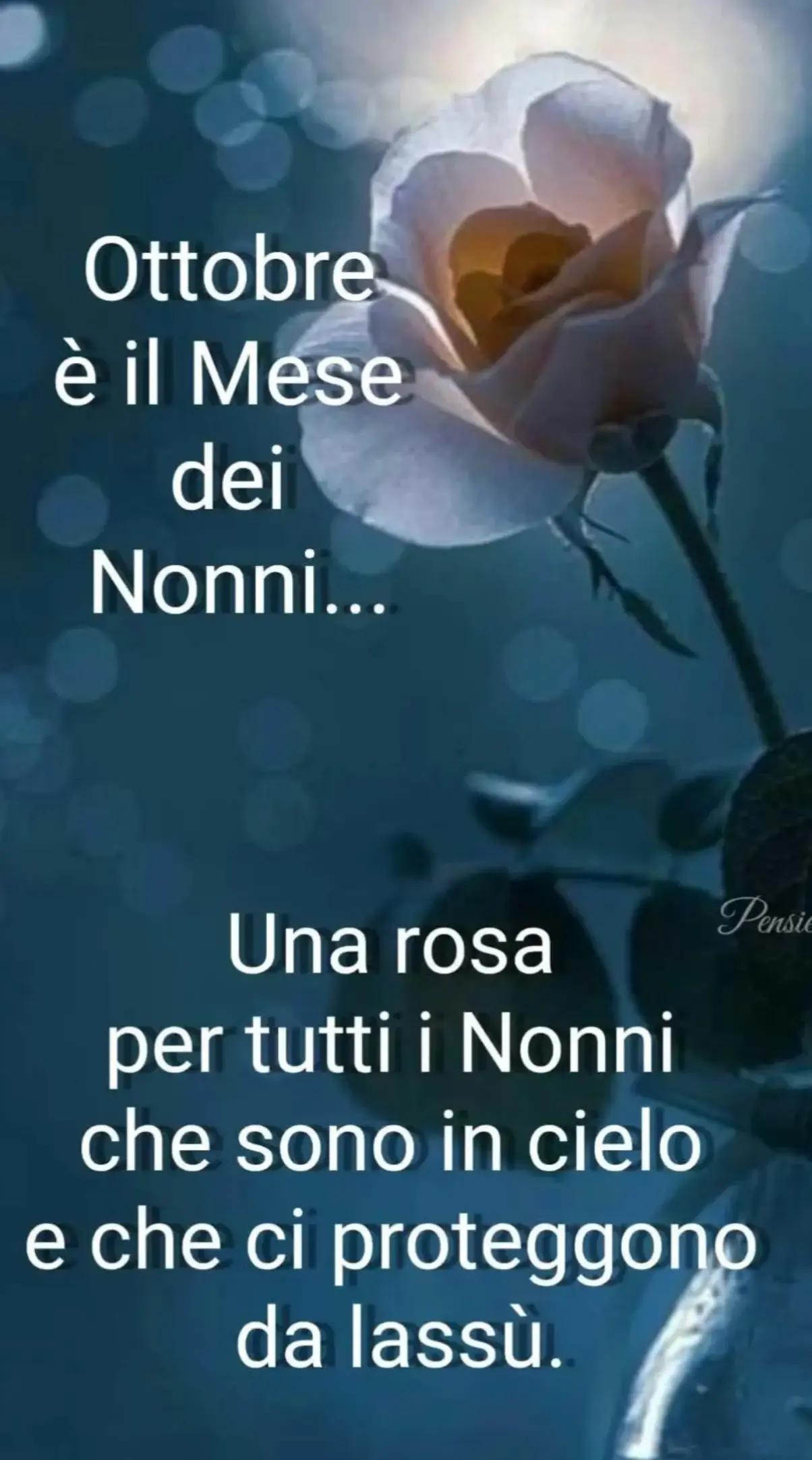 @Sonia Fusco
