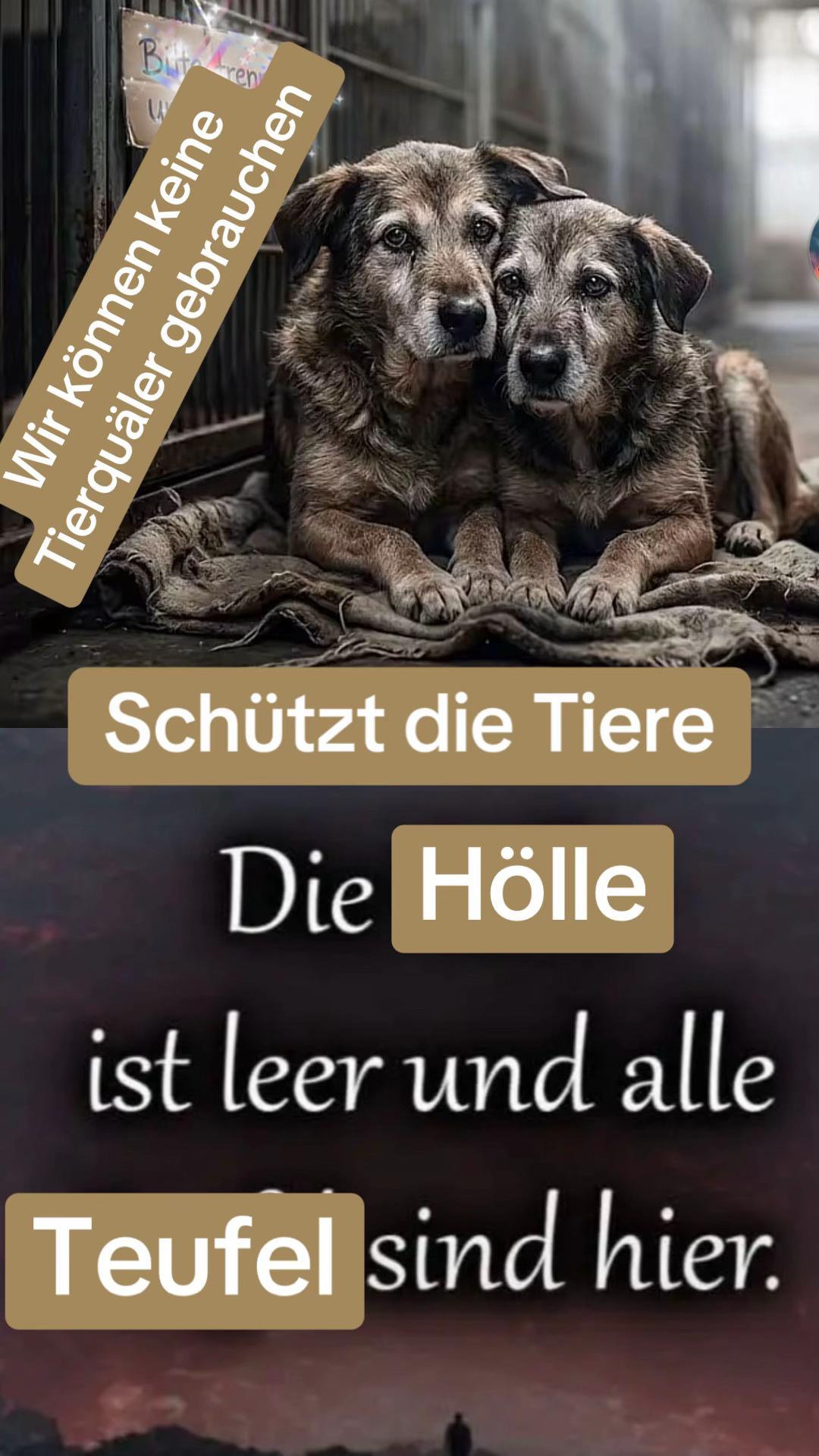@Lua Team🐈🐕&zwj;🦺L&ouml;wenherz❤️🦁