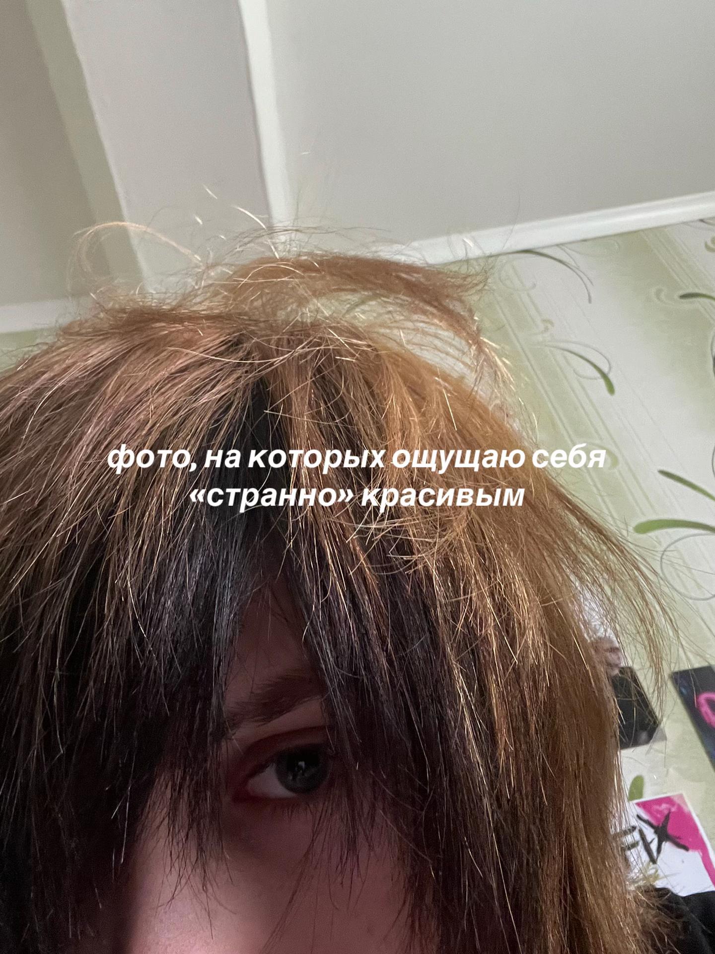 @。*:\ йоᴋо ᴄᴀᴛоᴩи /:✧.