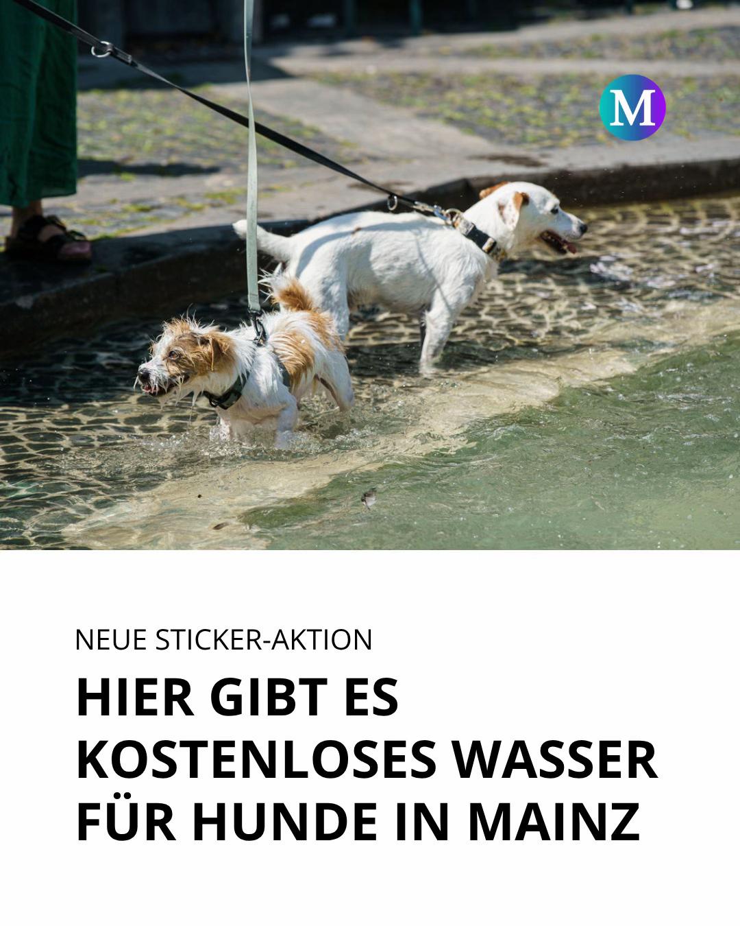 @Merkurist Mainz