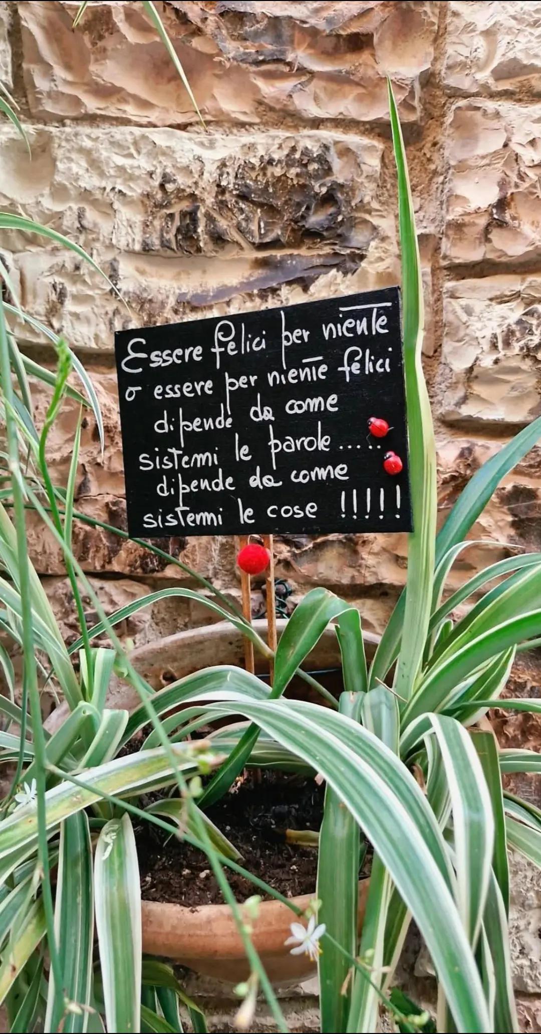 @felicia