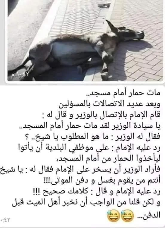 @abdelachak