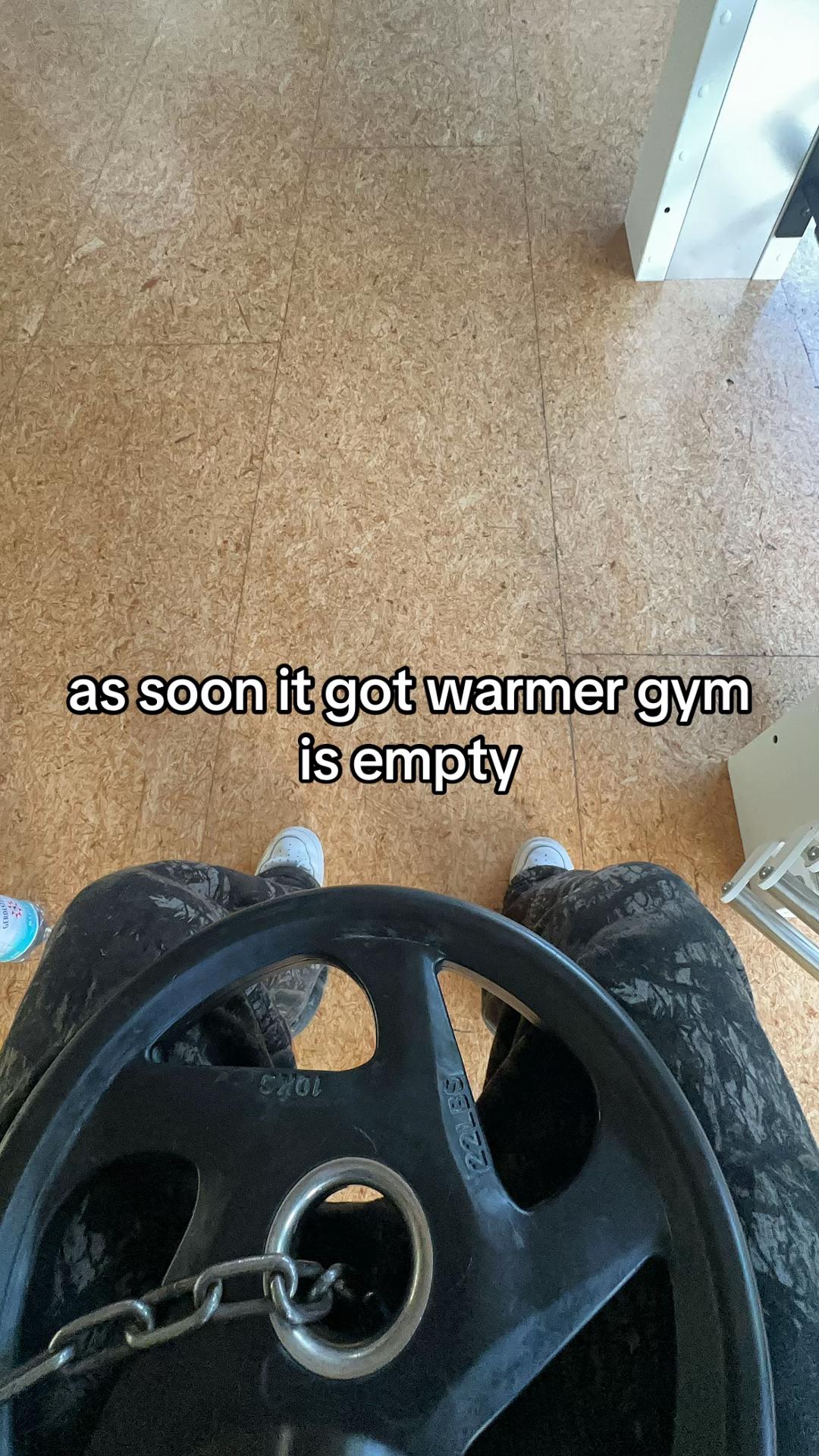 @ThomyGains