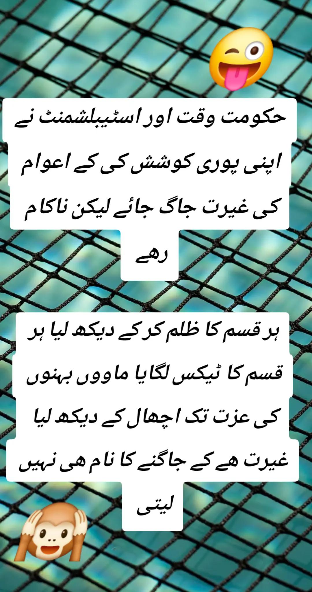 @اڈیالہ 804