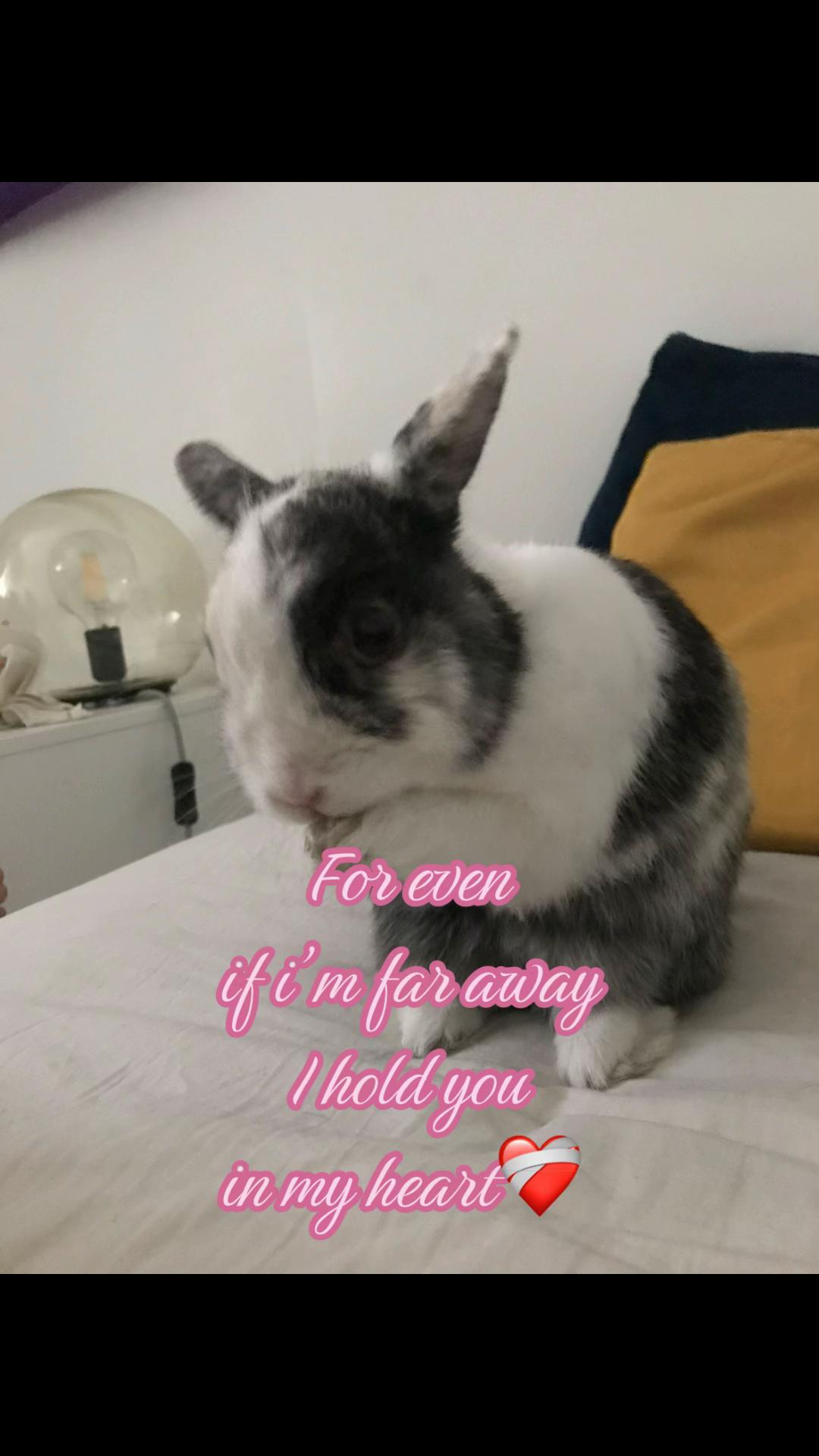 @Fanny_chx