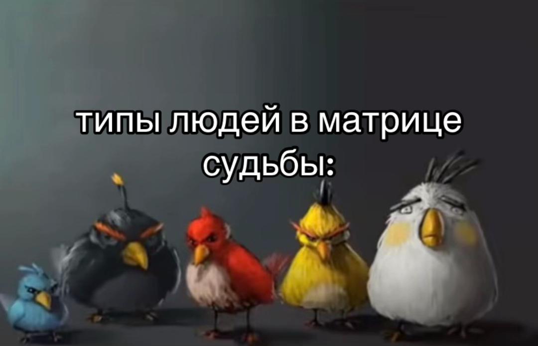@тгк: witchmemoirs