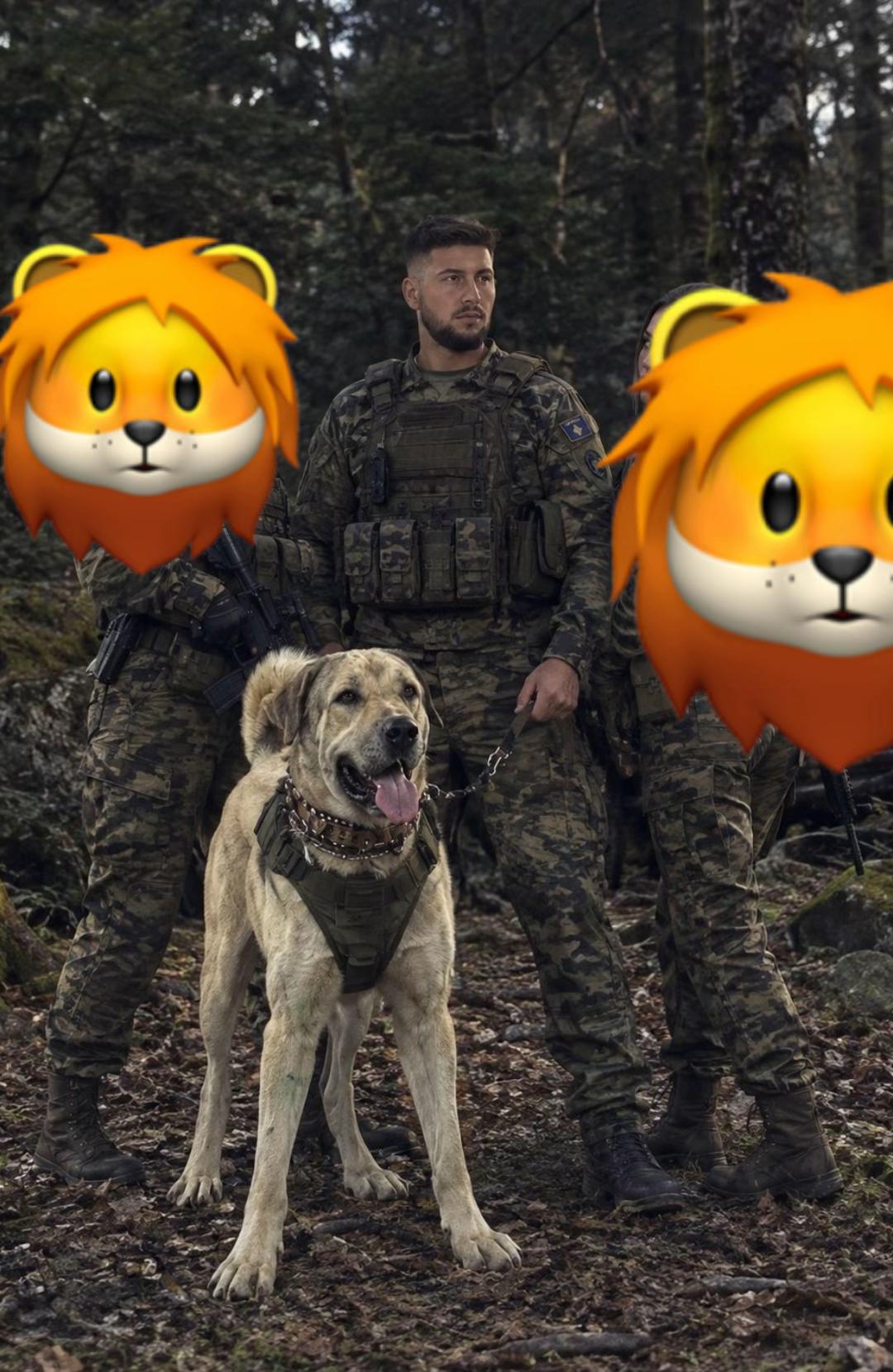 @tiger_spartak
