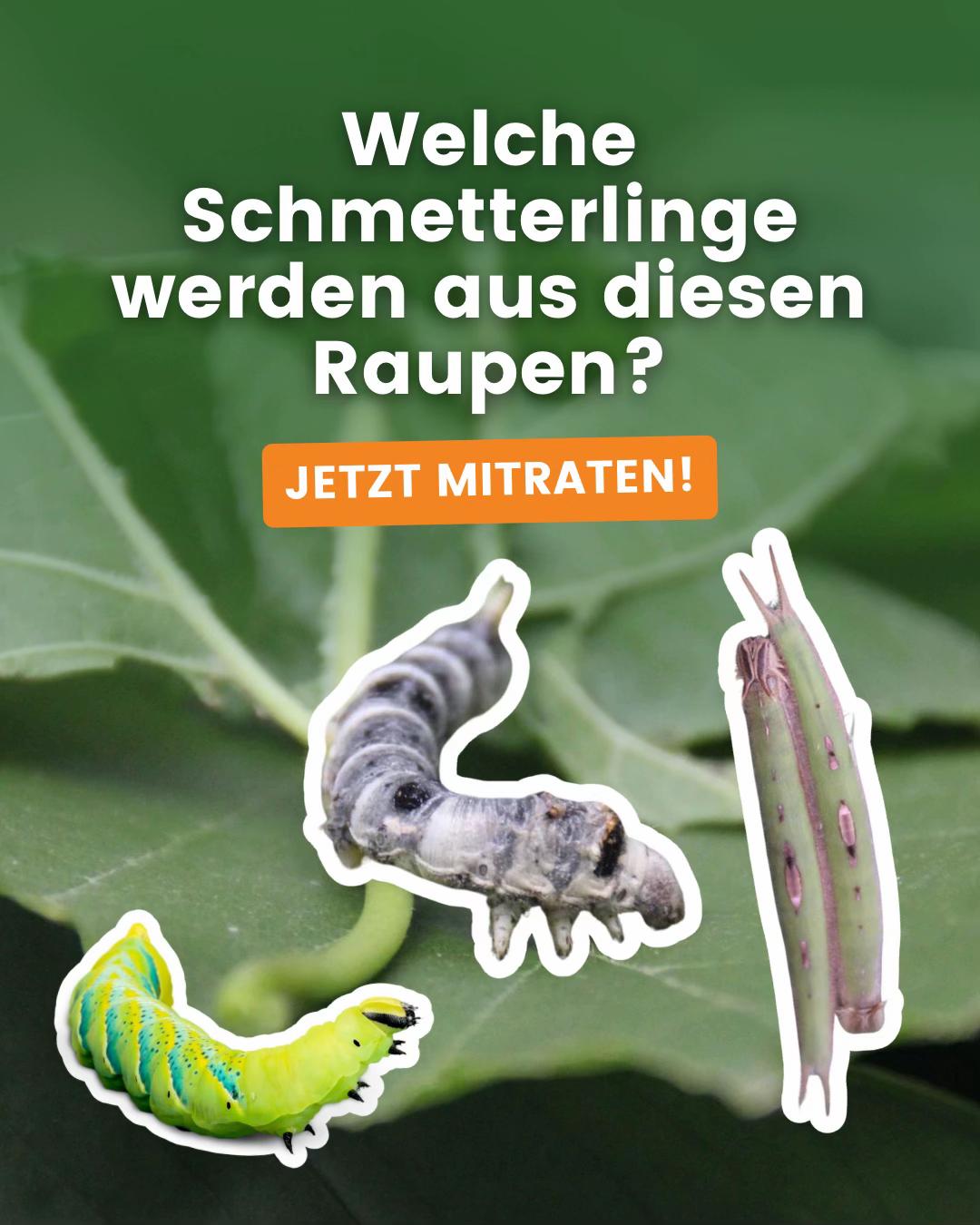 @Biosphäre Potsdam