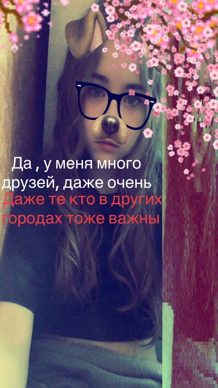 @Son^k🦅