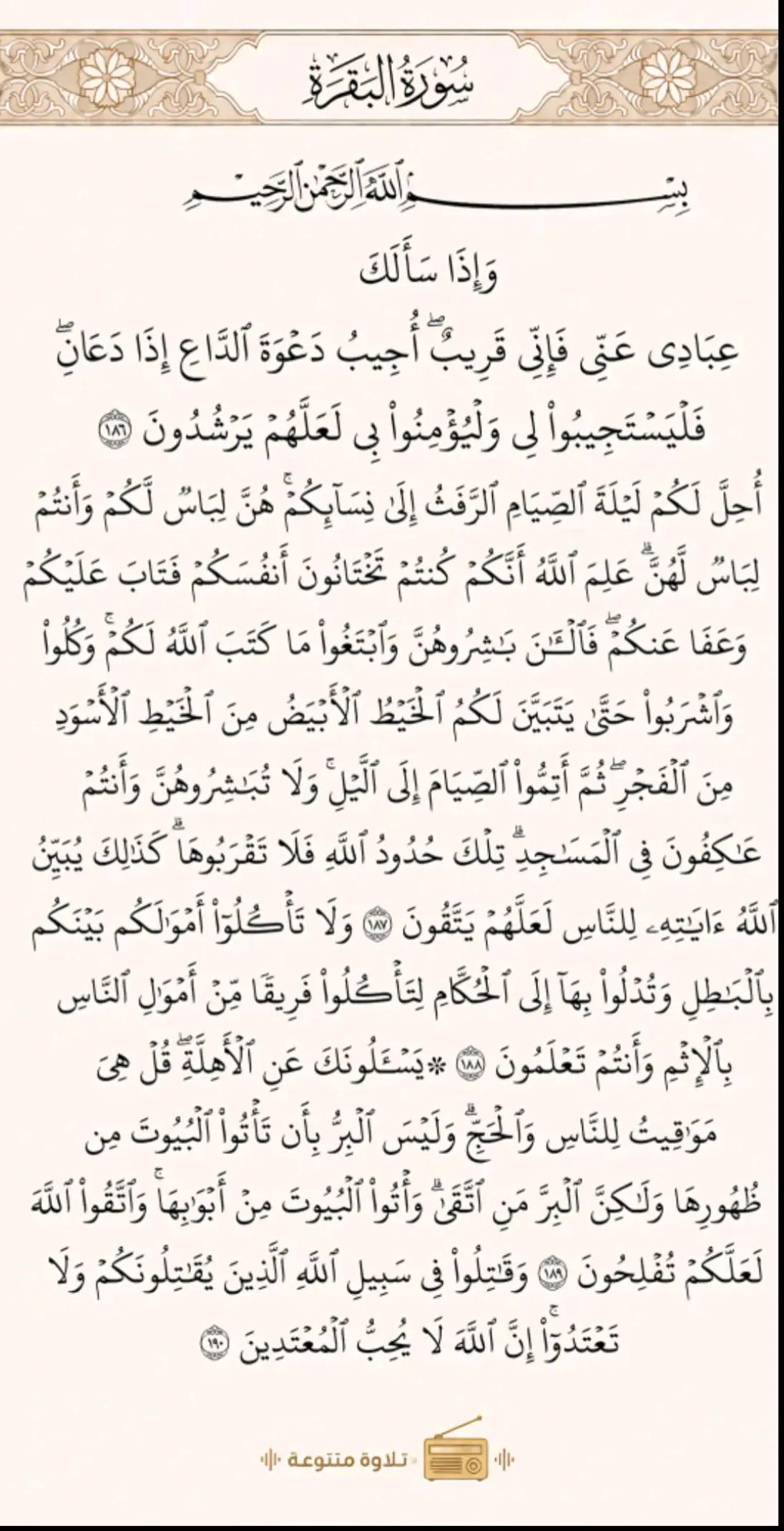 @Al Islam ✅