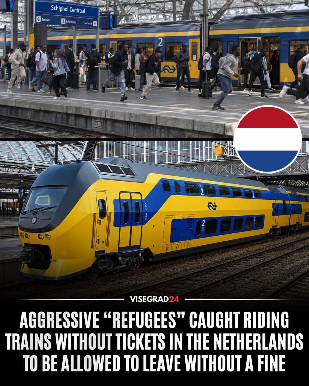 @Visegrad24