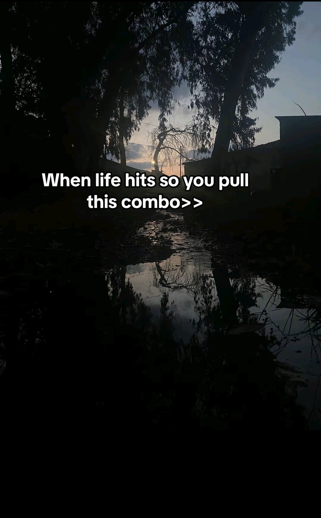 @𝓯𝓲𝓵𝓲𝓹𝓹𝓸𝓼