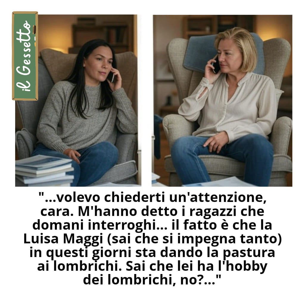 @Il Gessetto - Per la Scuola