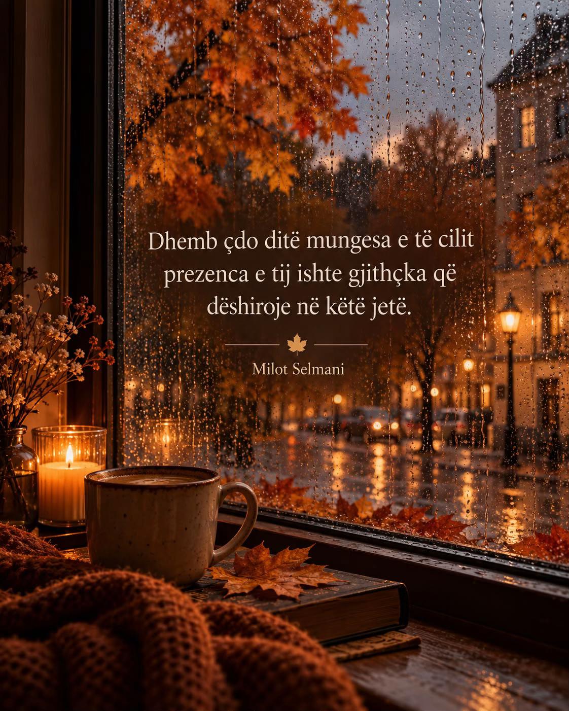 @milotselmani