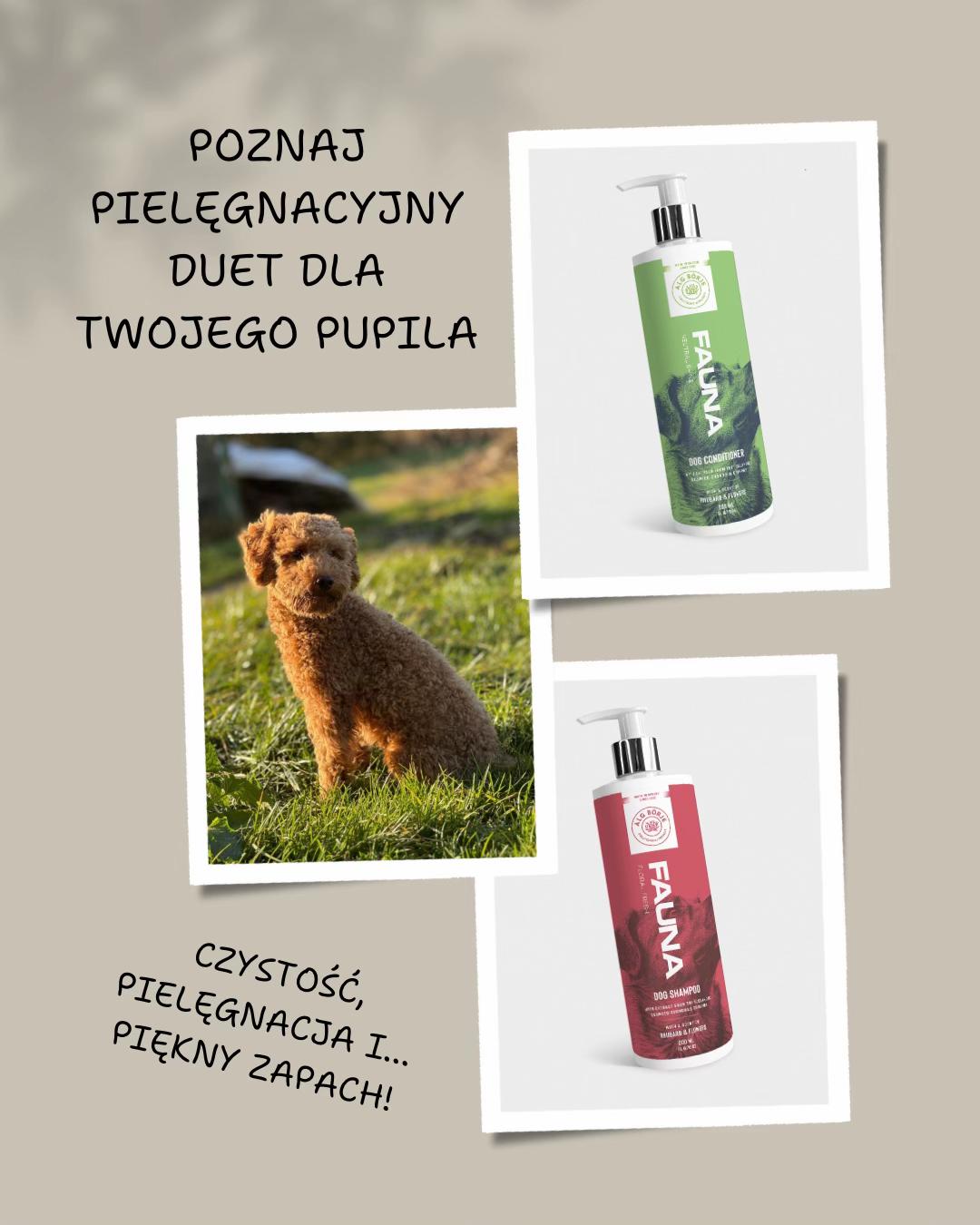 @alg.borje