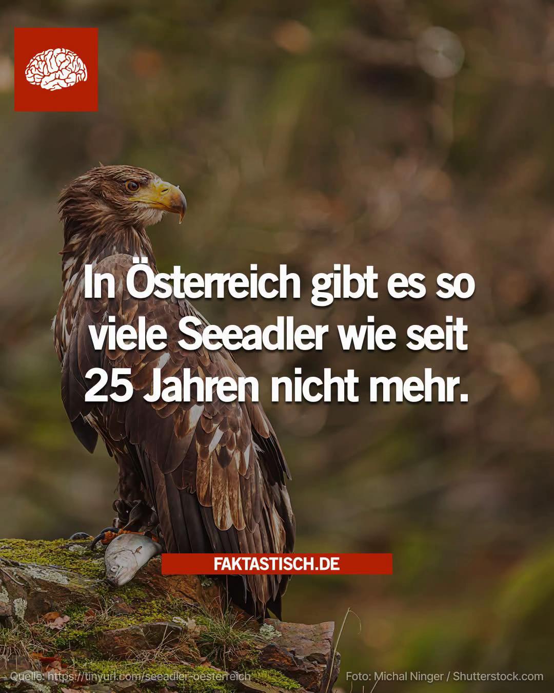 @Faktastisch