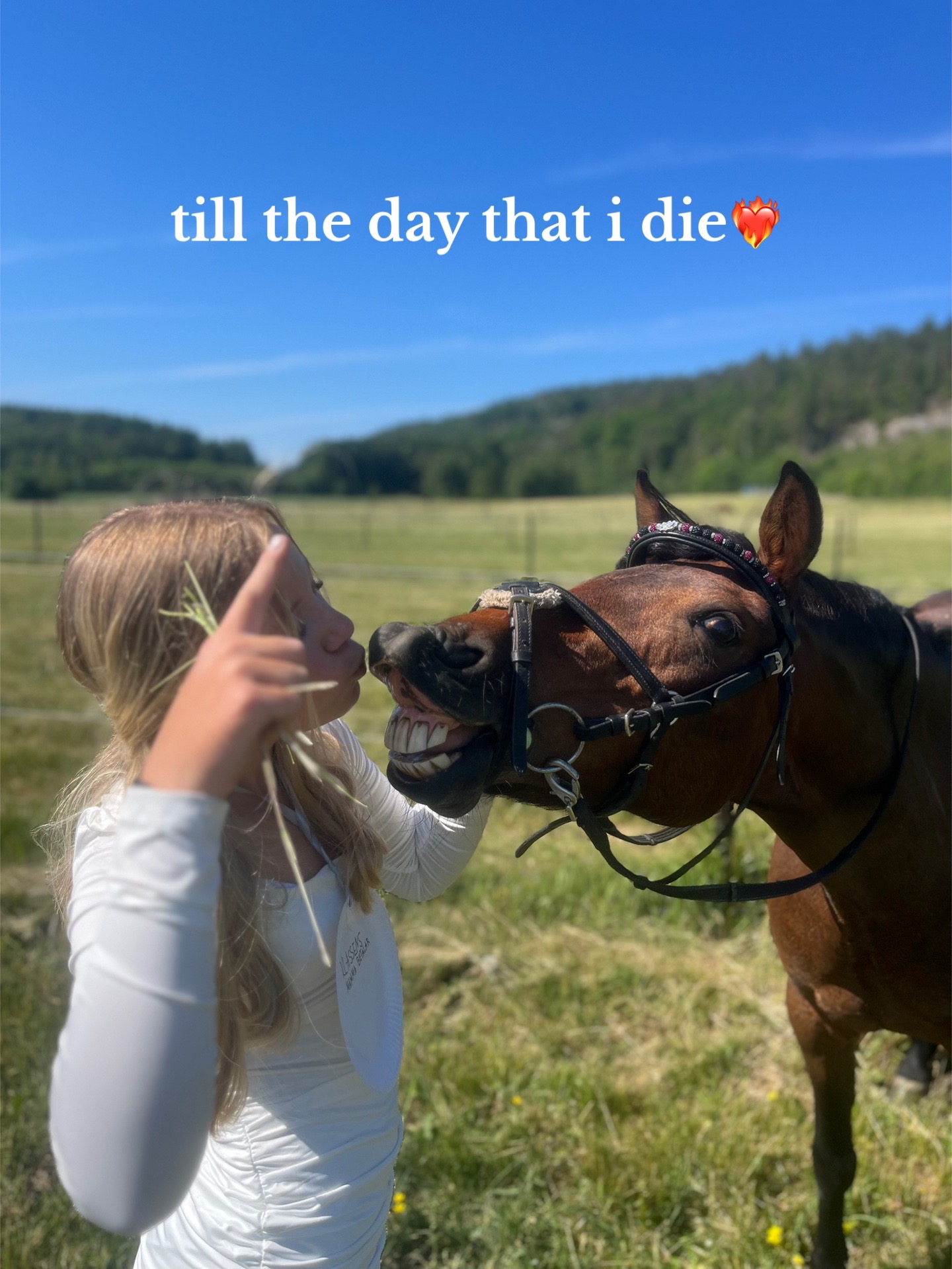 @Bella