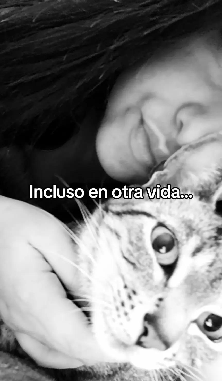 @lorenikaa💕