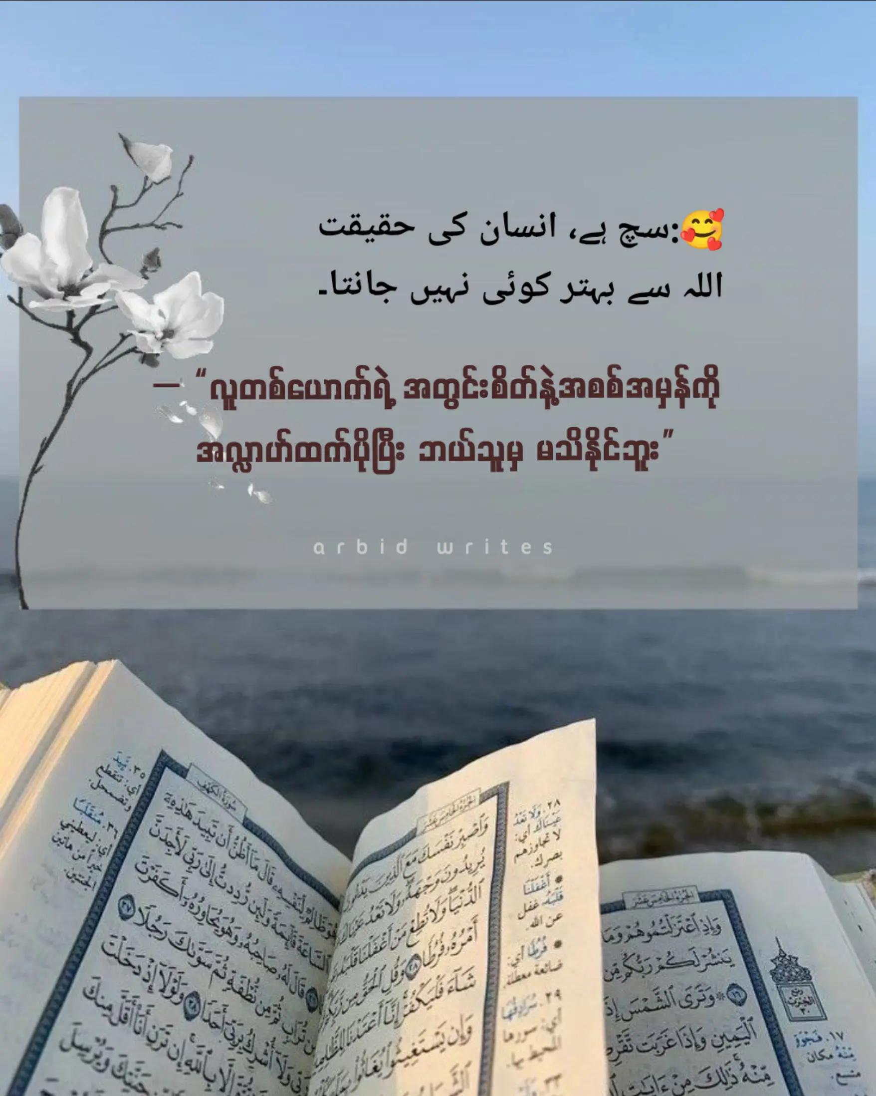 @Arbid Khan
