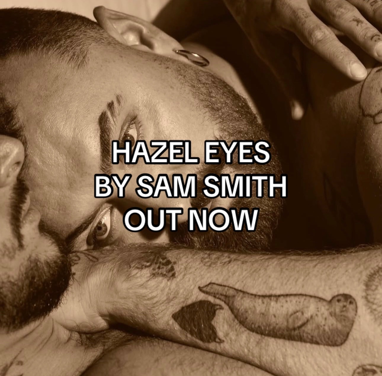 @Sam Smith Fan