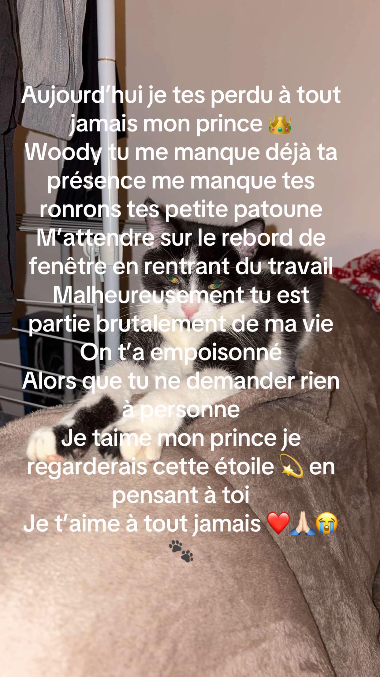 @Le_routier_du_52