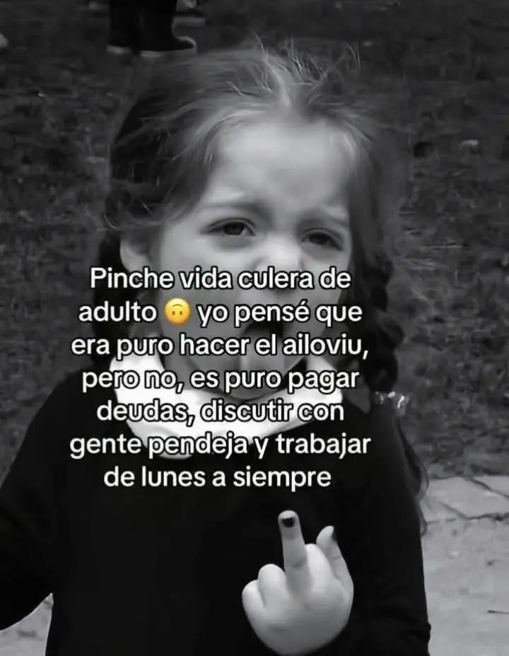 @Frases, humor y más.