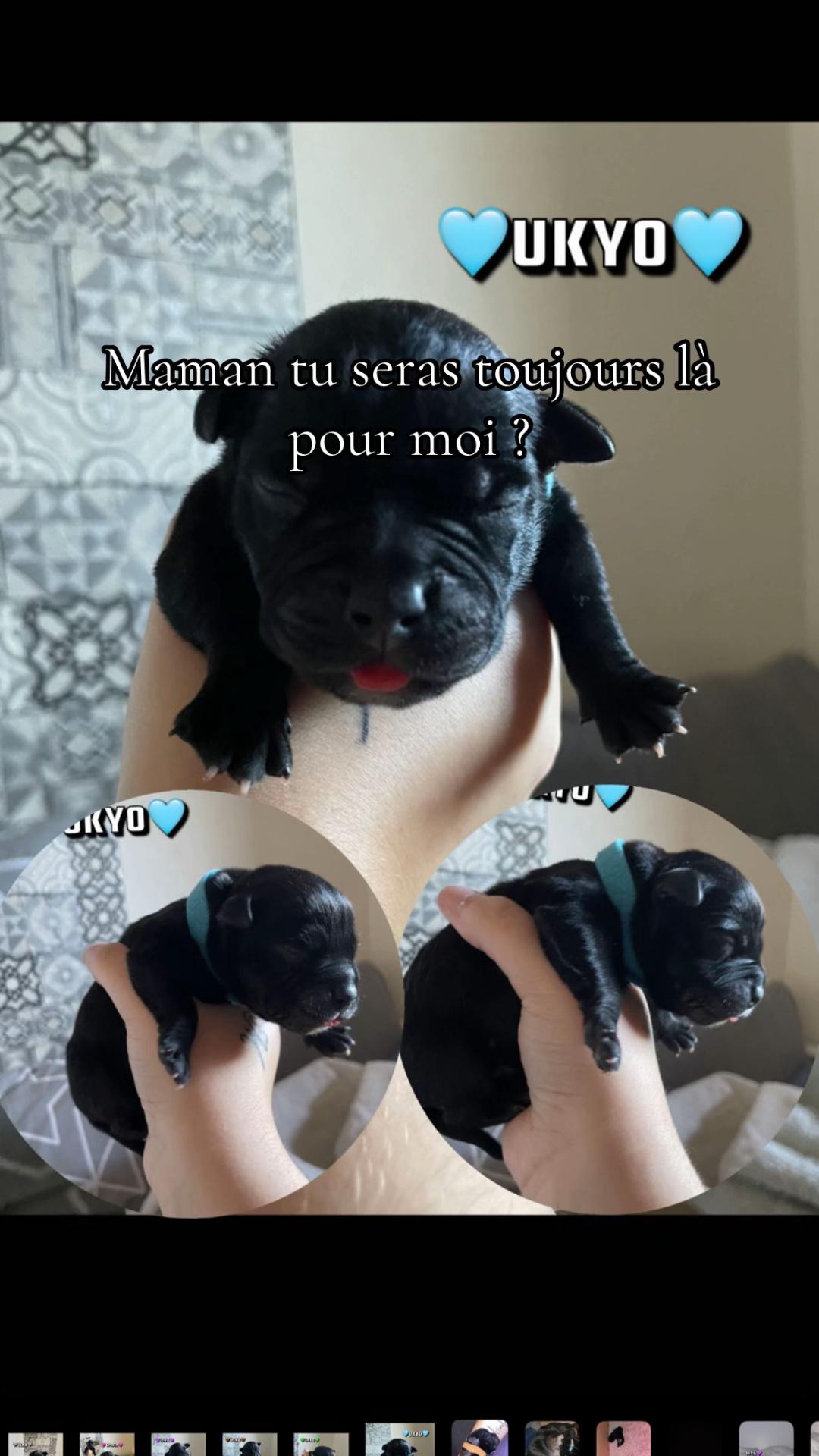 @Ali