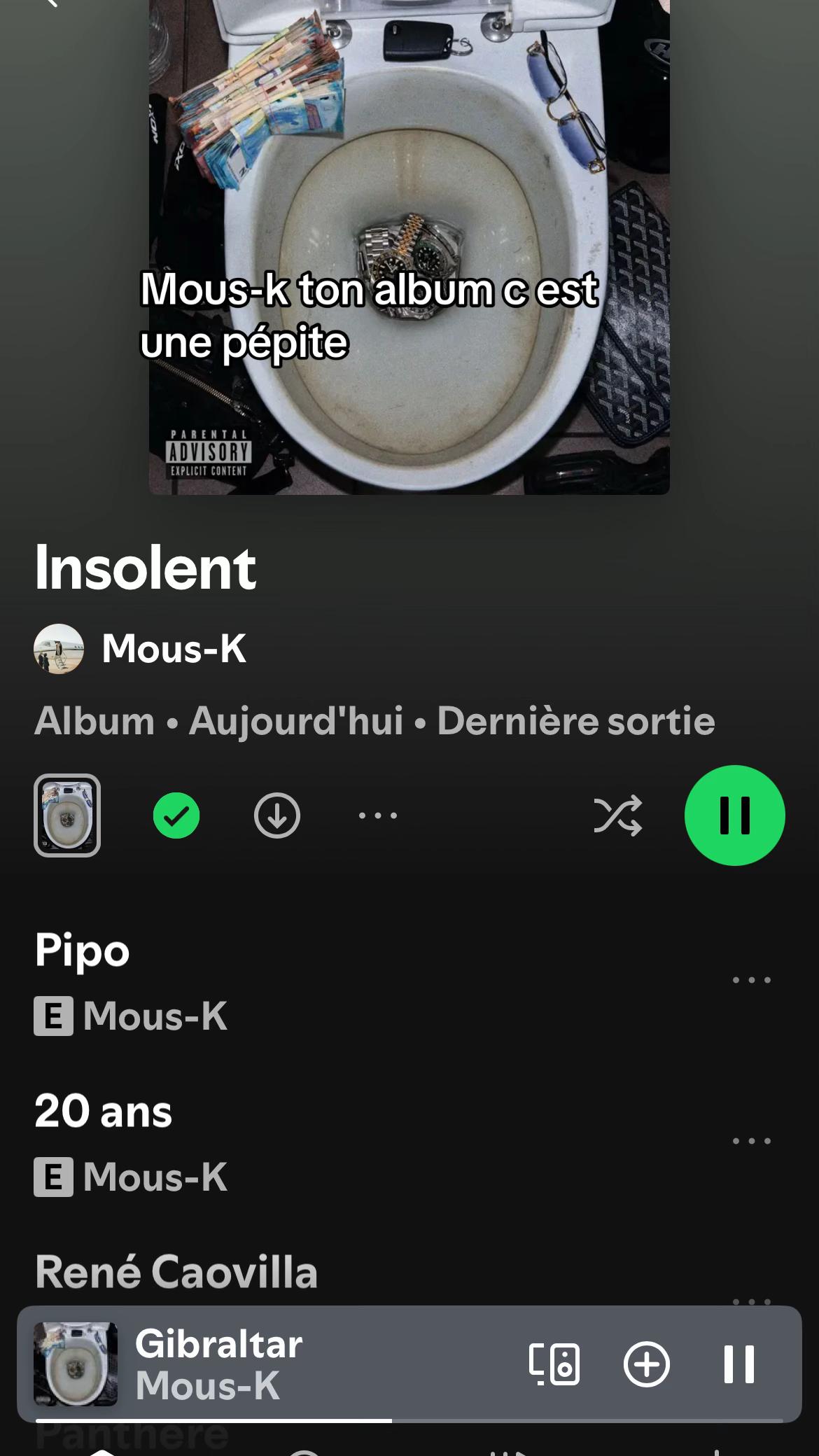 @plkkkketlisko