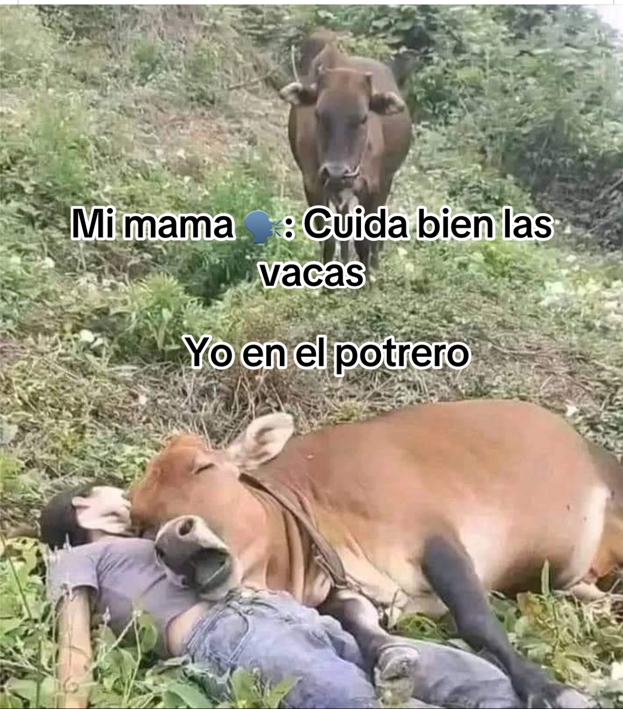 @Juan Salas