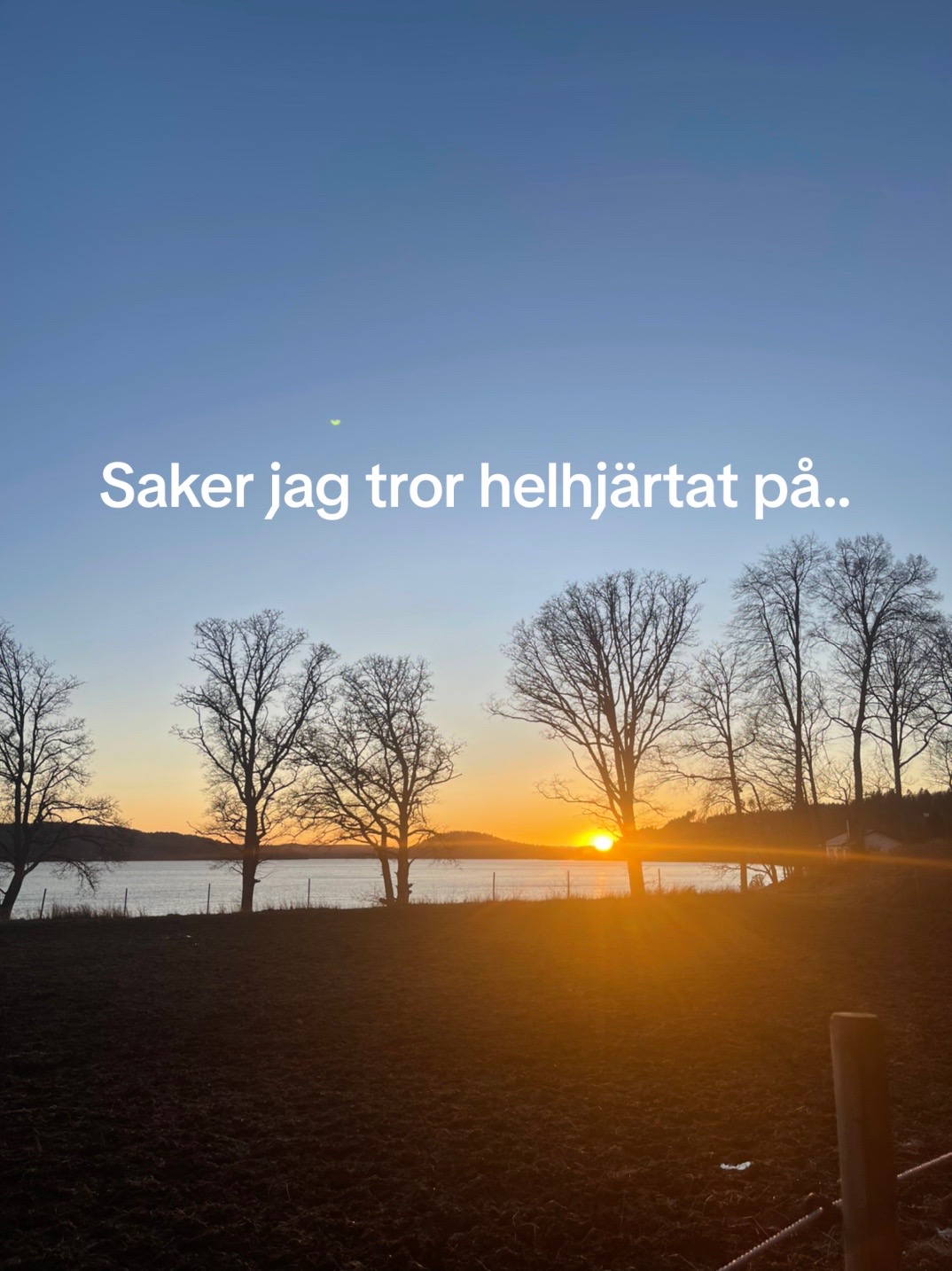 @Esmeralda Ruergård