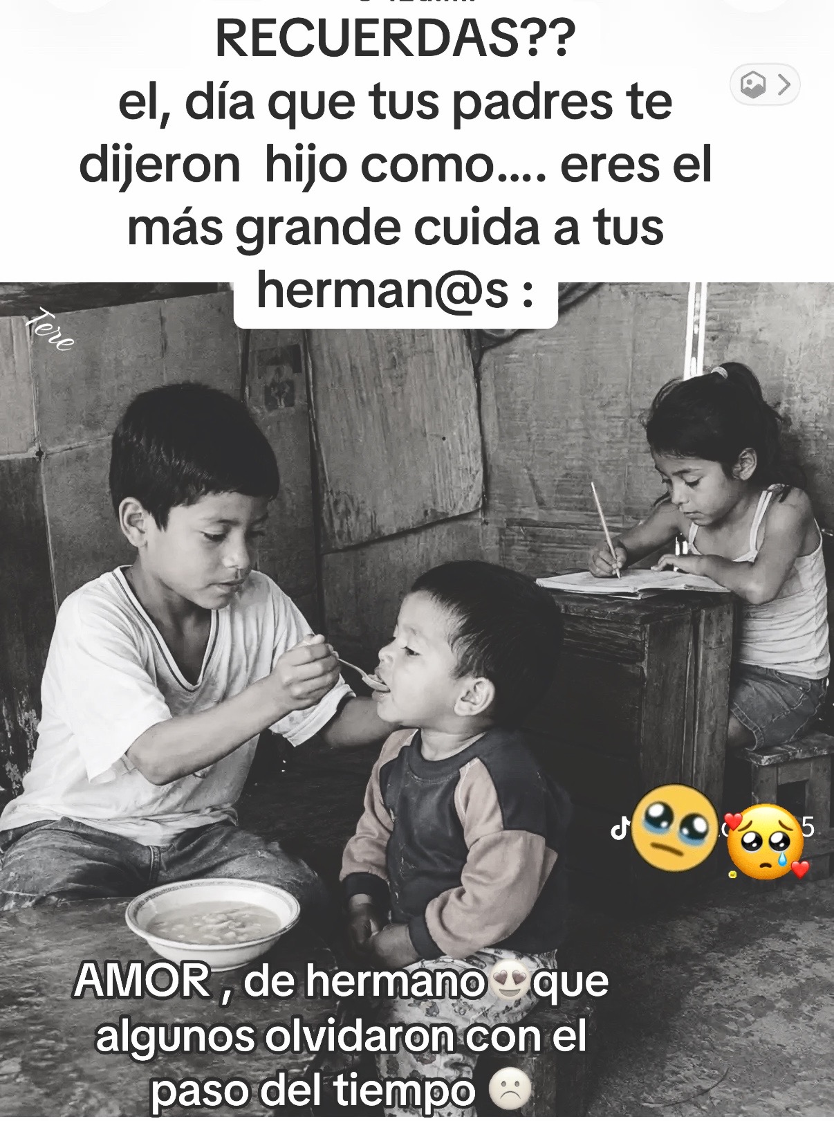 @terecervantes1120